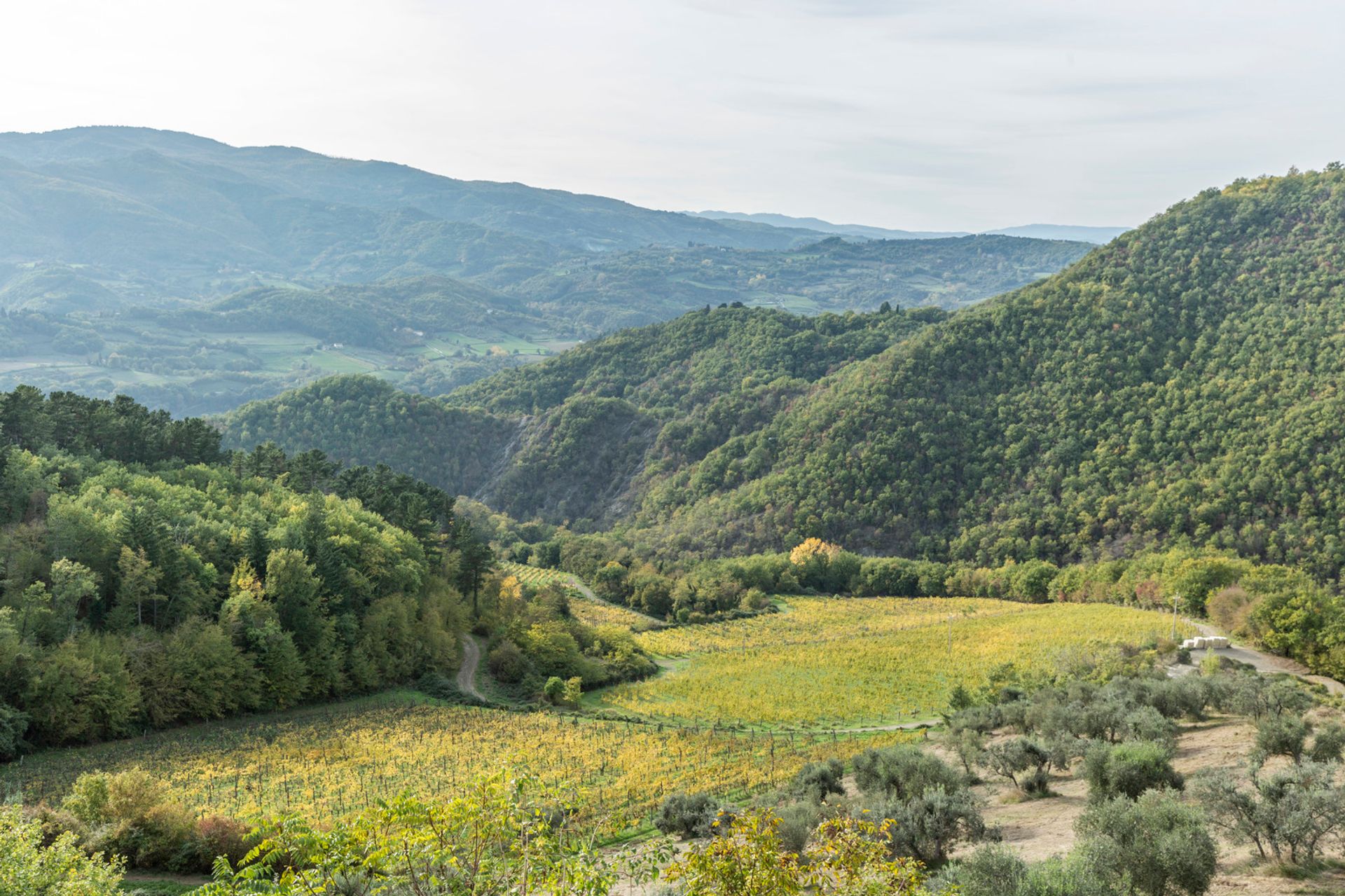 Συγκυριαρχία σε Rufina, Toscana 11748815