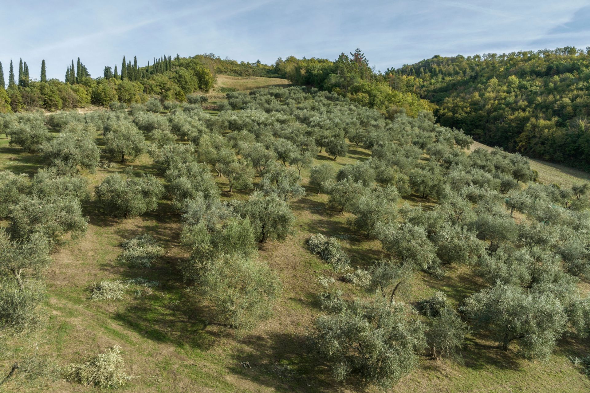 Συγκυριαρχία σε Rufina, Toscana 11748815