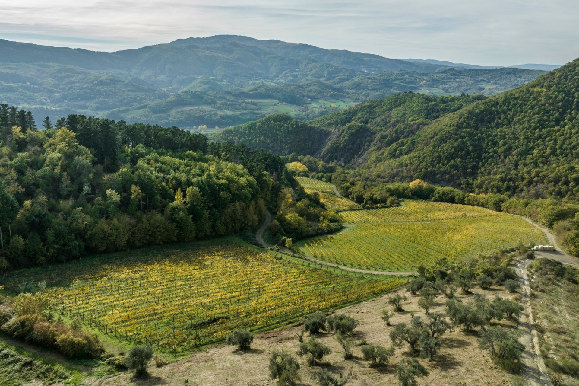 Συγκυριαρχία σε Rufina, Toscana 11748815