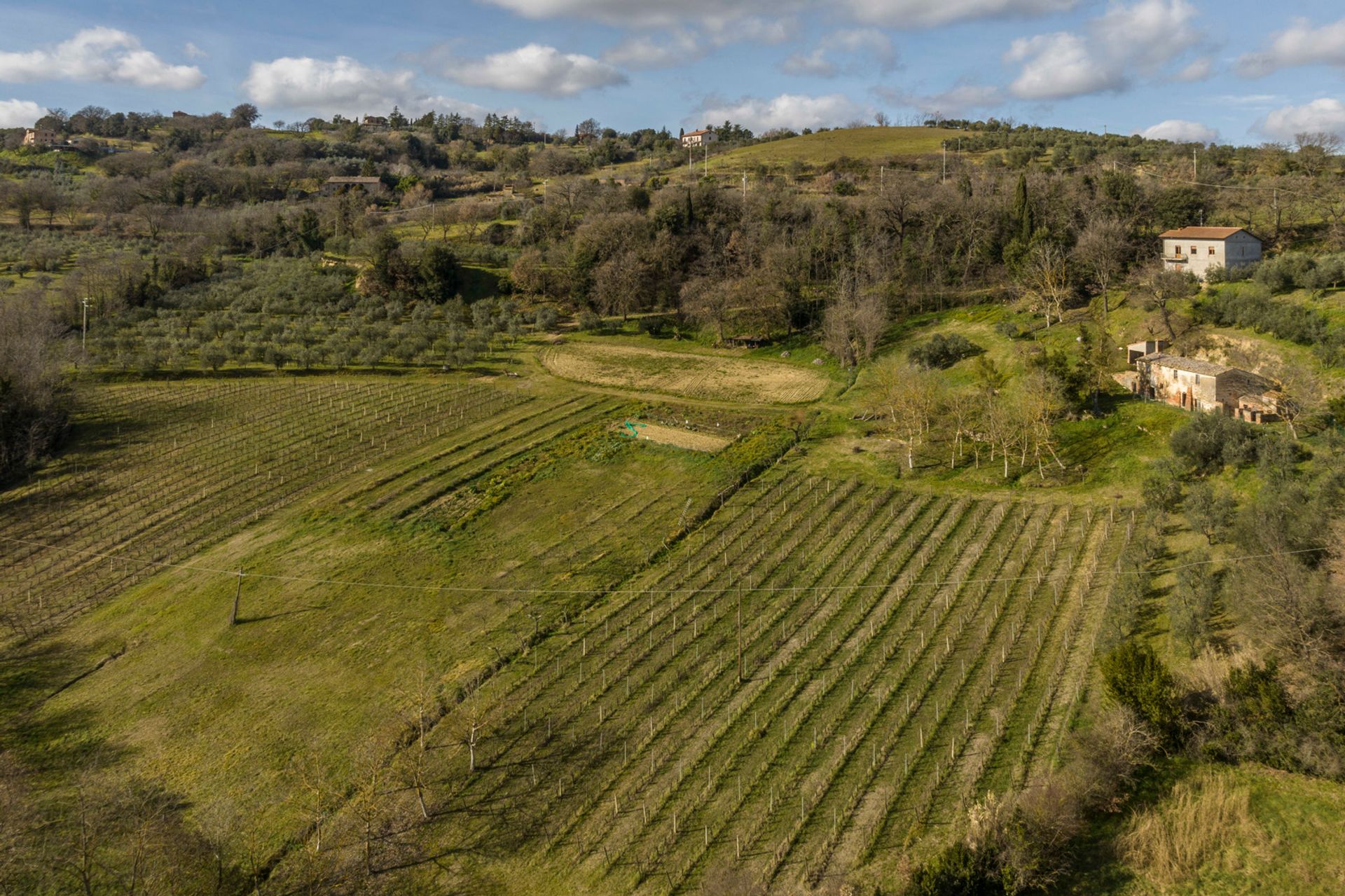 Kondominium dalam Montepulciano, Tuscany 11748832