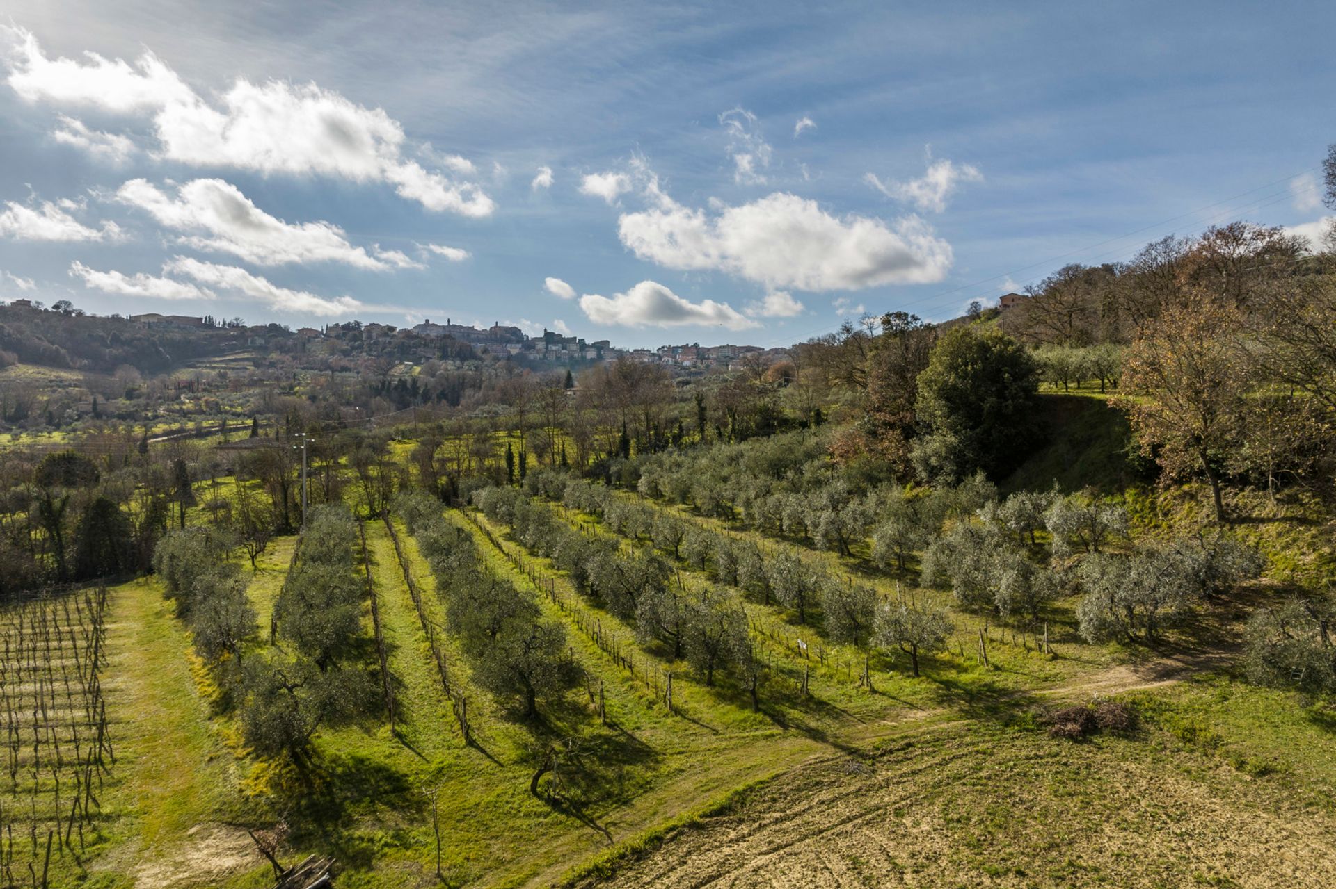 Kondominium dalam Montepulciano, Tuscany 11748832