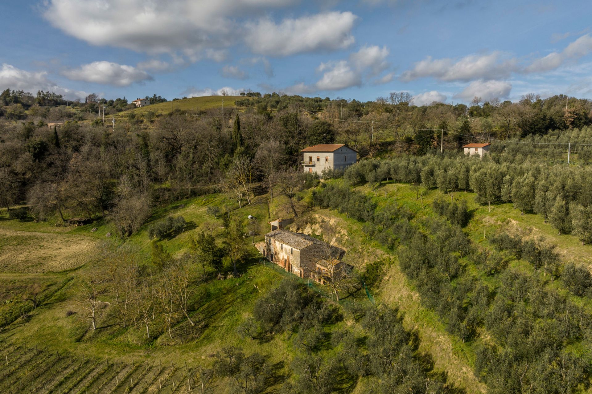 عمارات في Montepulciano, Tuscany 11748832