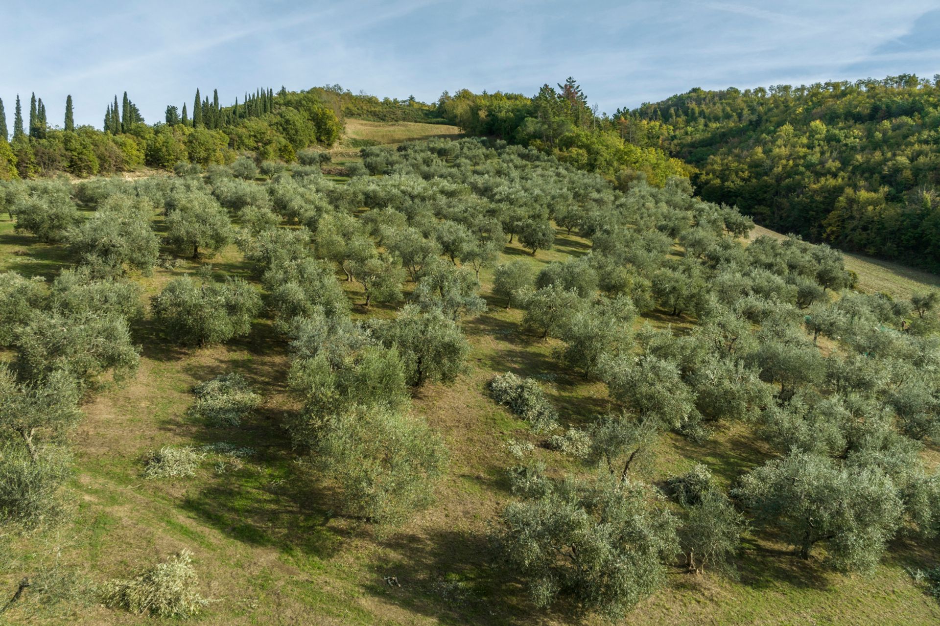 Osakehuoneisto sisään Montepulciano, Tuscany 11748886