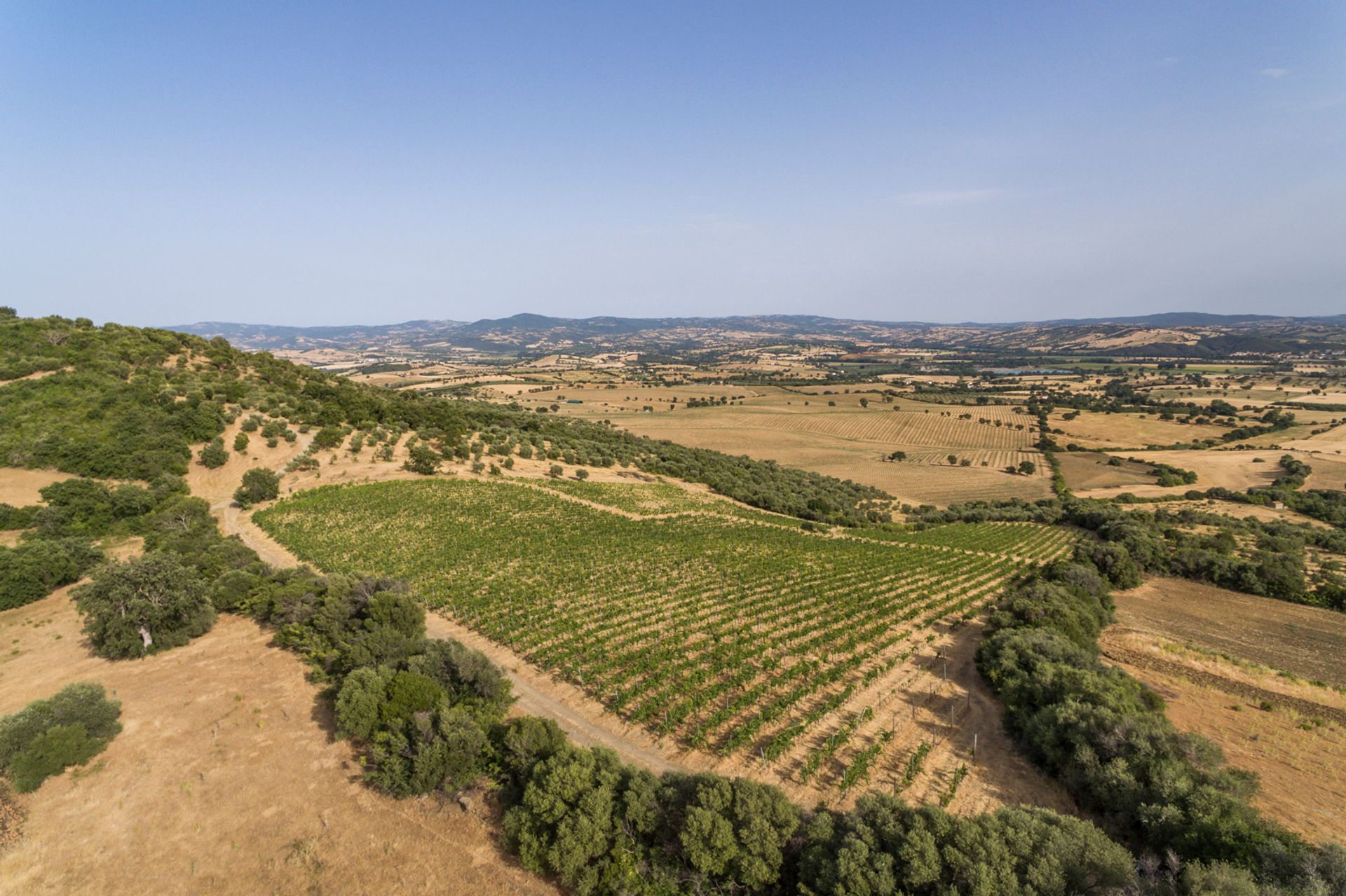 सम्मिलित में Montepulciano, Tuscany 11748886