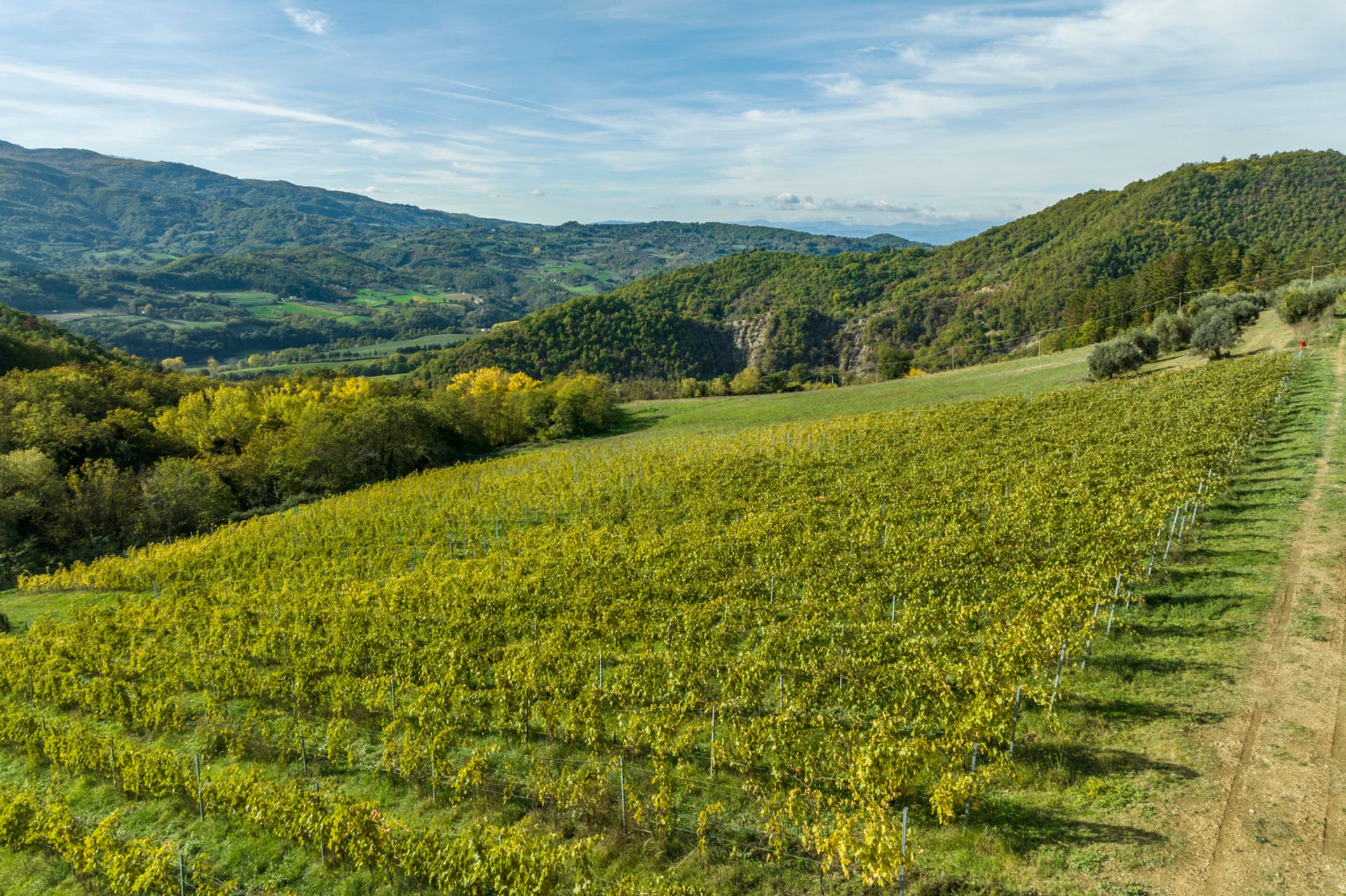 Condominio en Montepulciano, Tuscany 11748886