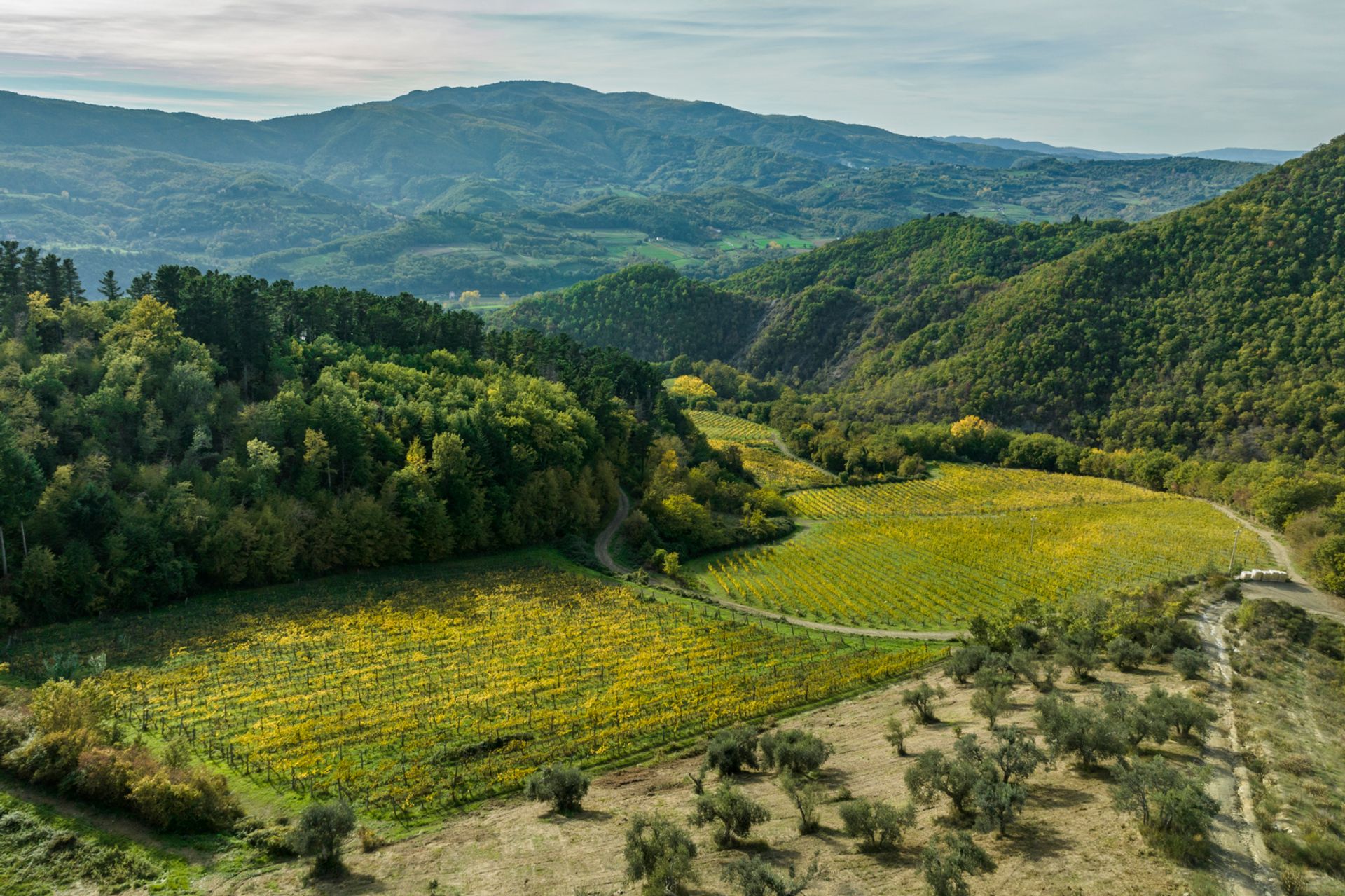 Квартира в Montepulciano, Tuscany 11748886