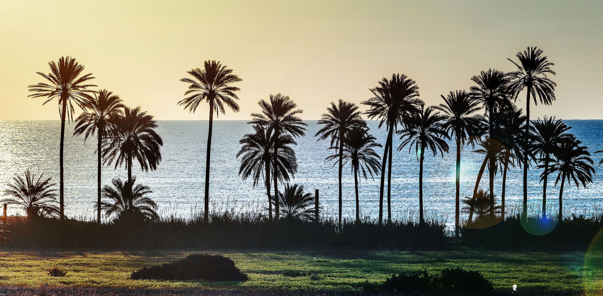 집 에 Torrevieja, Valencian Community 11749807