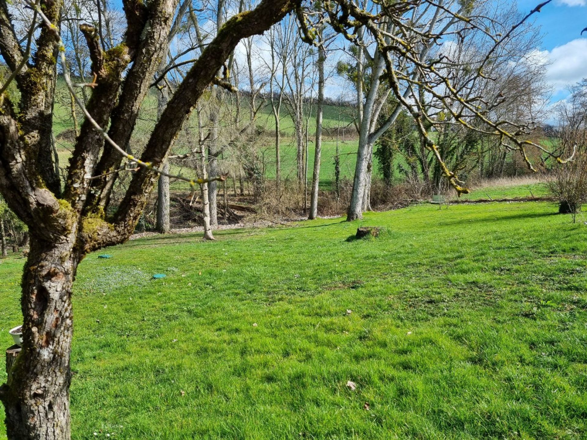 Andere in Billy, Auvergne-Rhône-Alpes 11749995