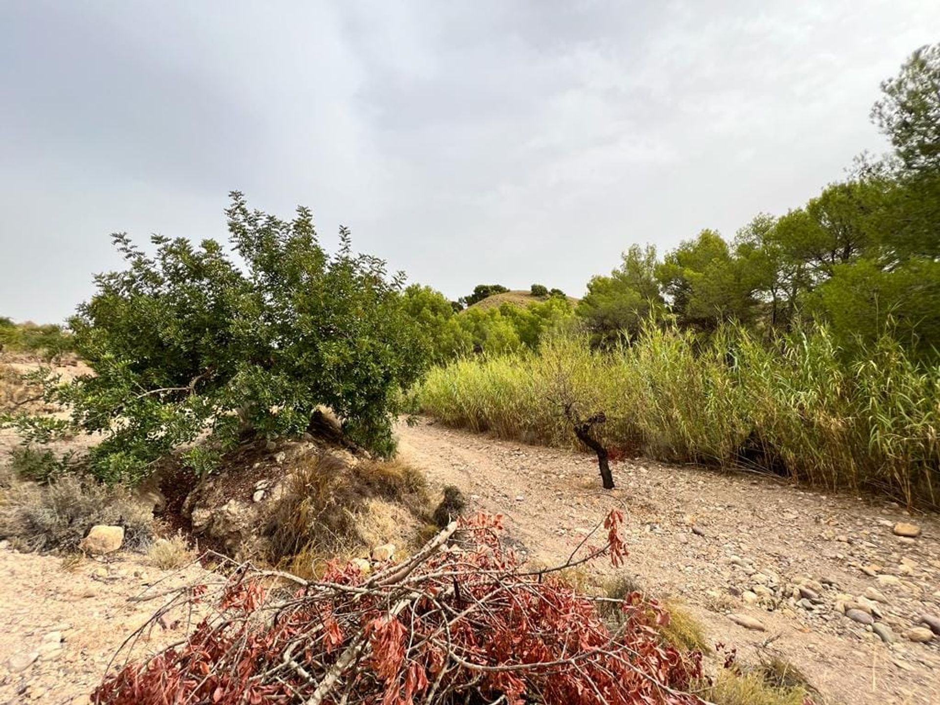 σπίτι σε Carrascoy-La Murta, Region of Murcia 11751154