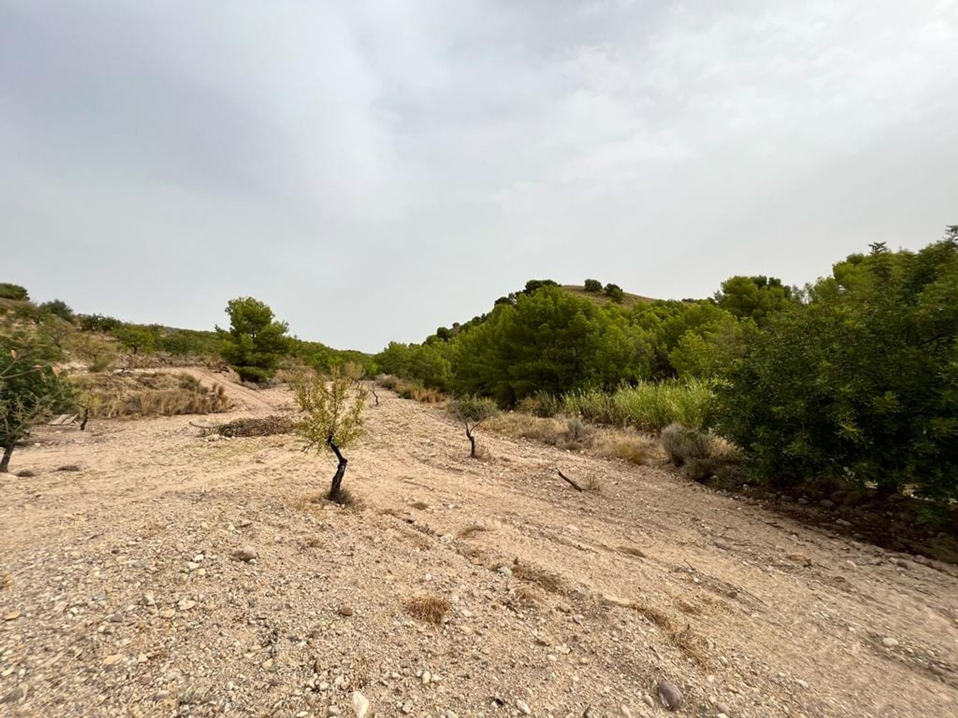 σπίτι σε Carrascoy-La Murta, Region of Murcia 11751154