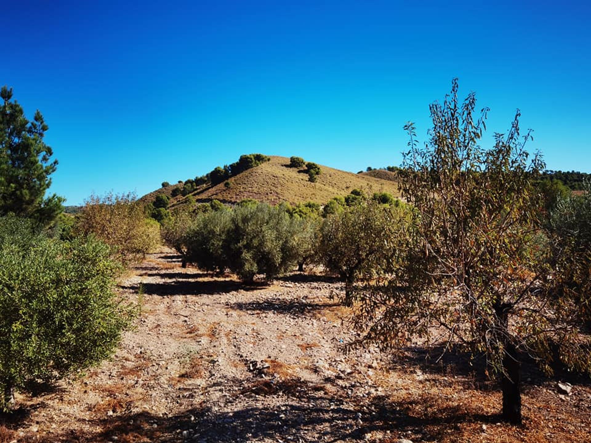 σπίτι σε Carrascoy-La Murta, Region of Murcia 11751154