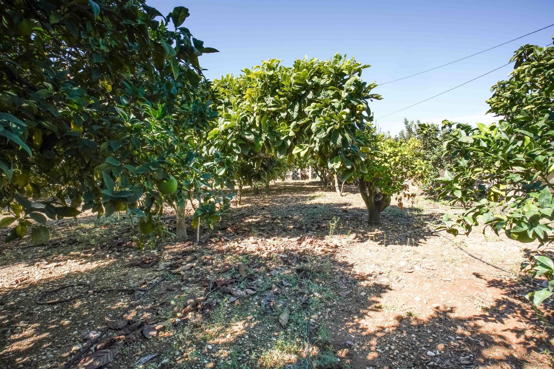 Huis in Xàbia, Valencian Community 11751210