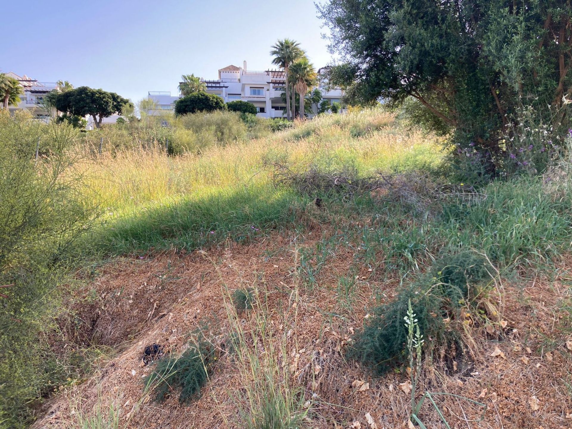 Terra no Benahavís, Andalucía 11751807