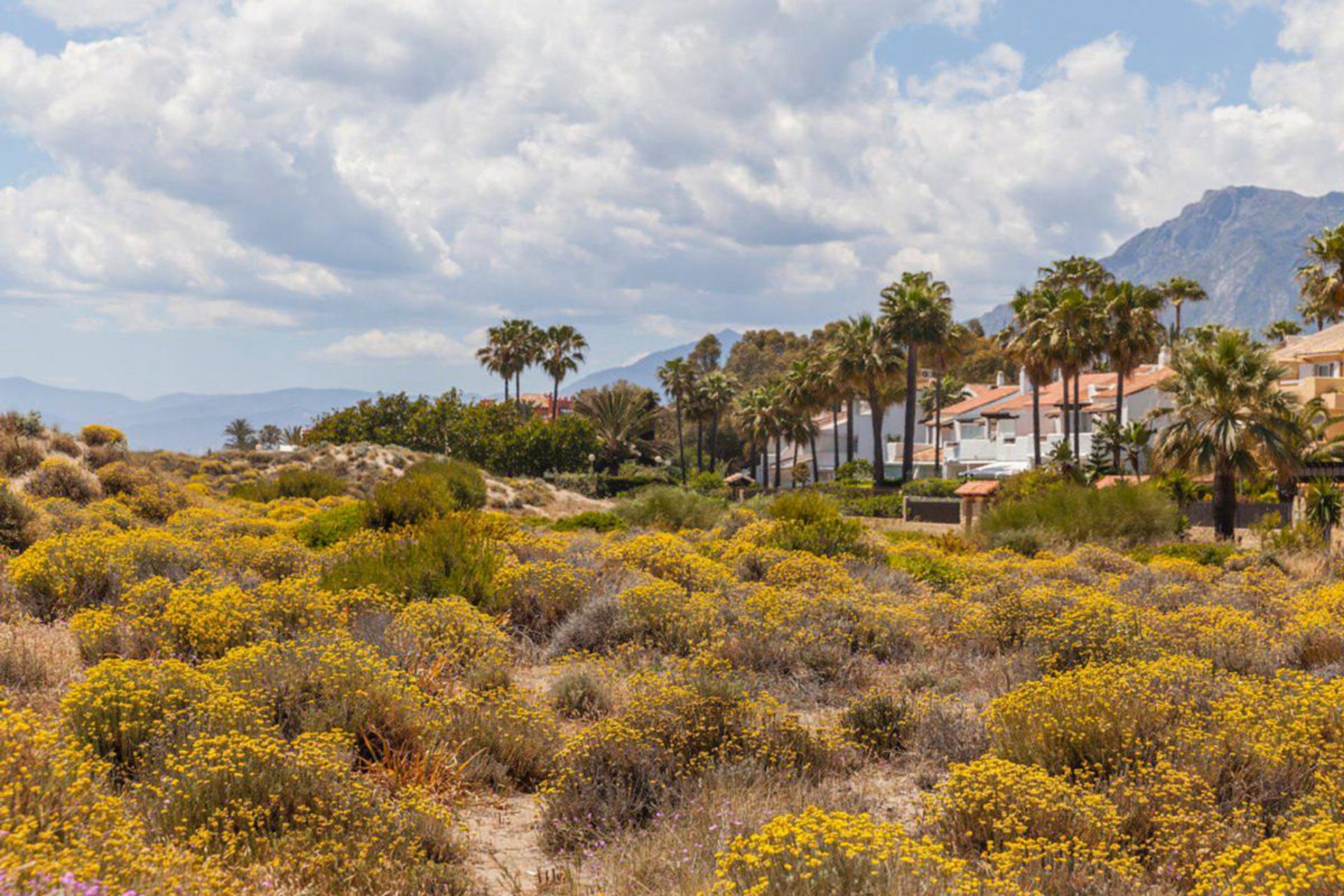 casa en Marbella, Andalucía 11752470