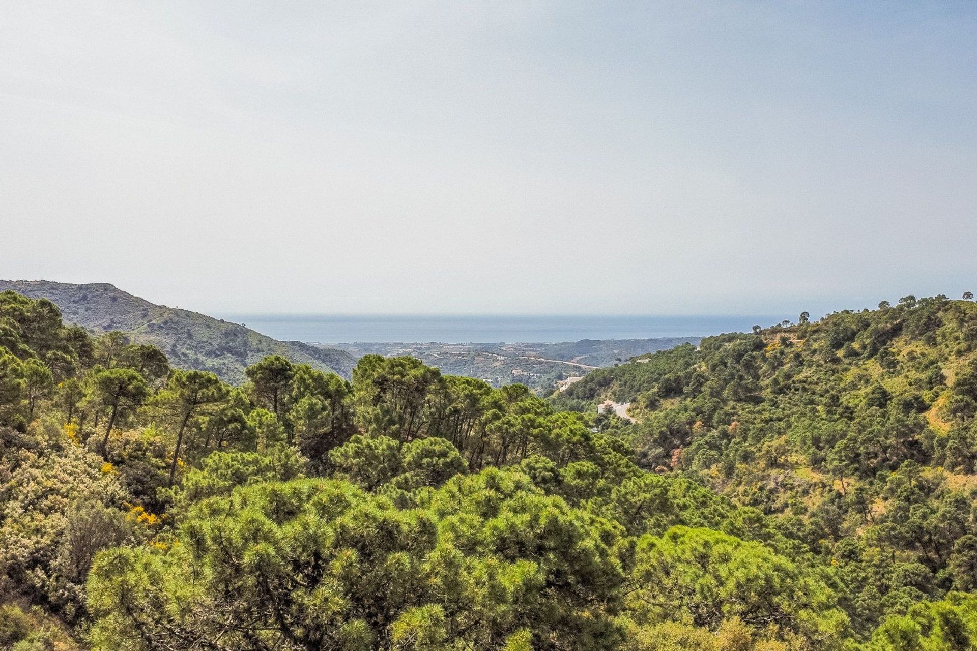 Land in Benahavis, Andalusië 11752487