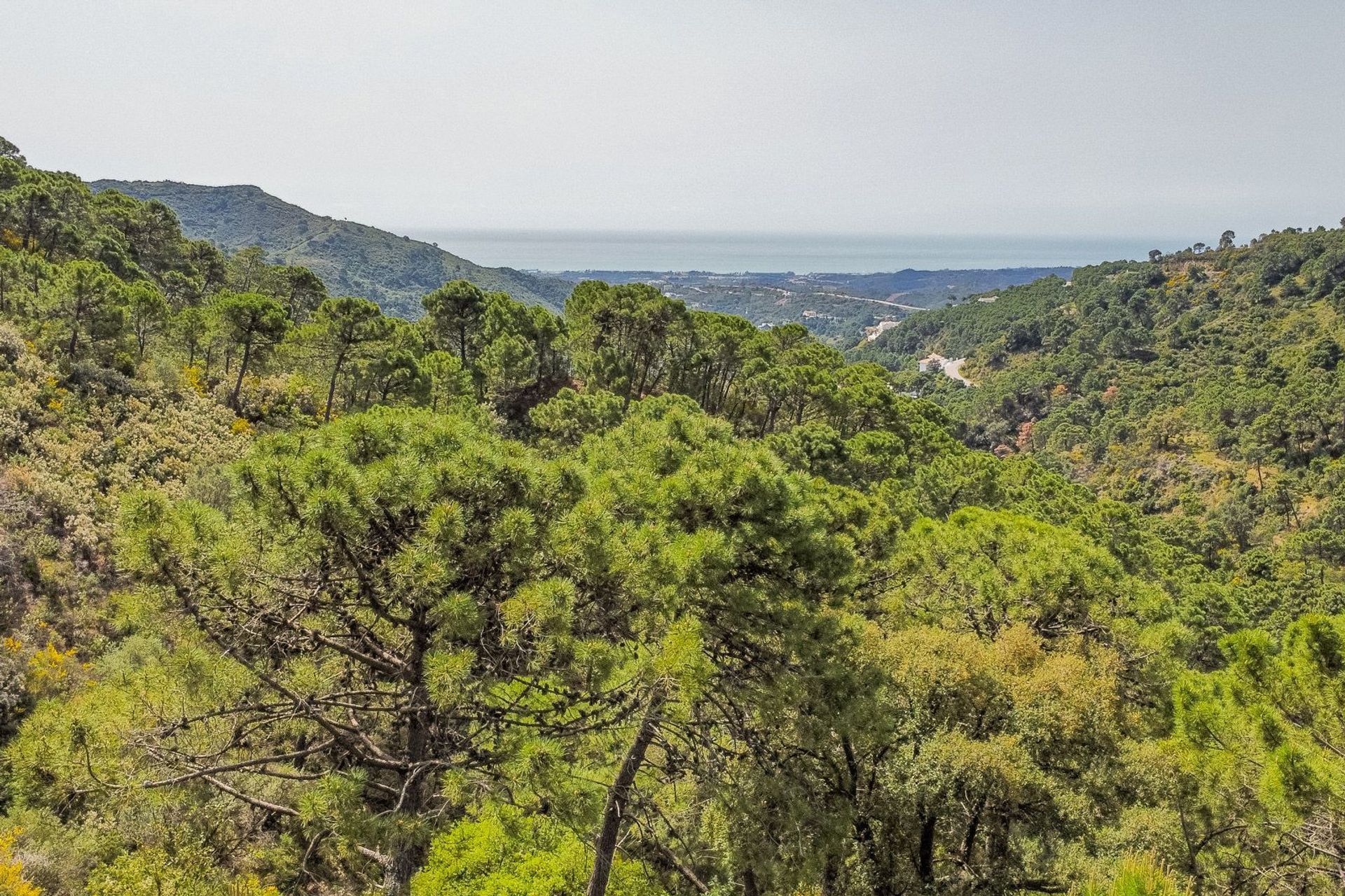 Land in Benahavis, Andalusië 11752487