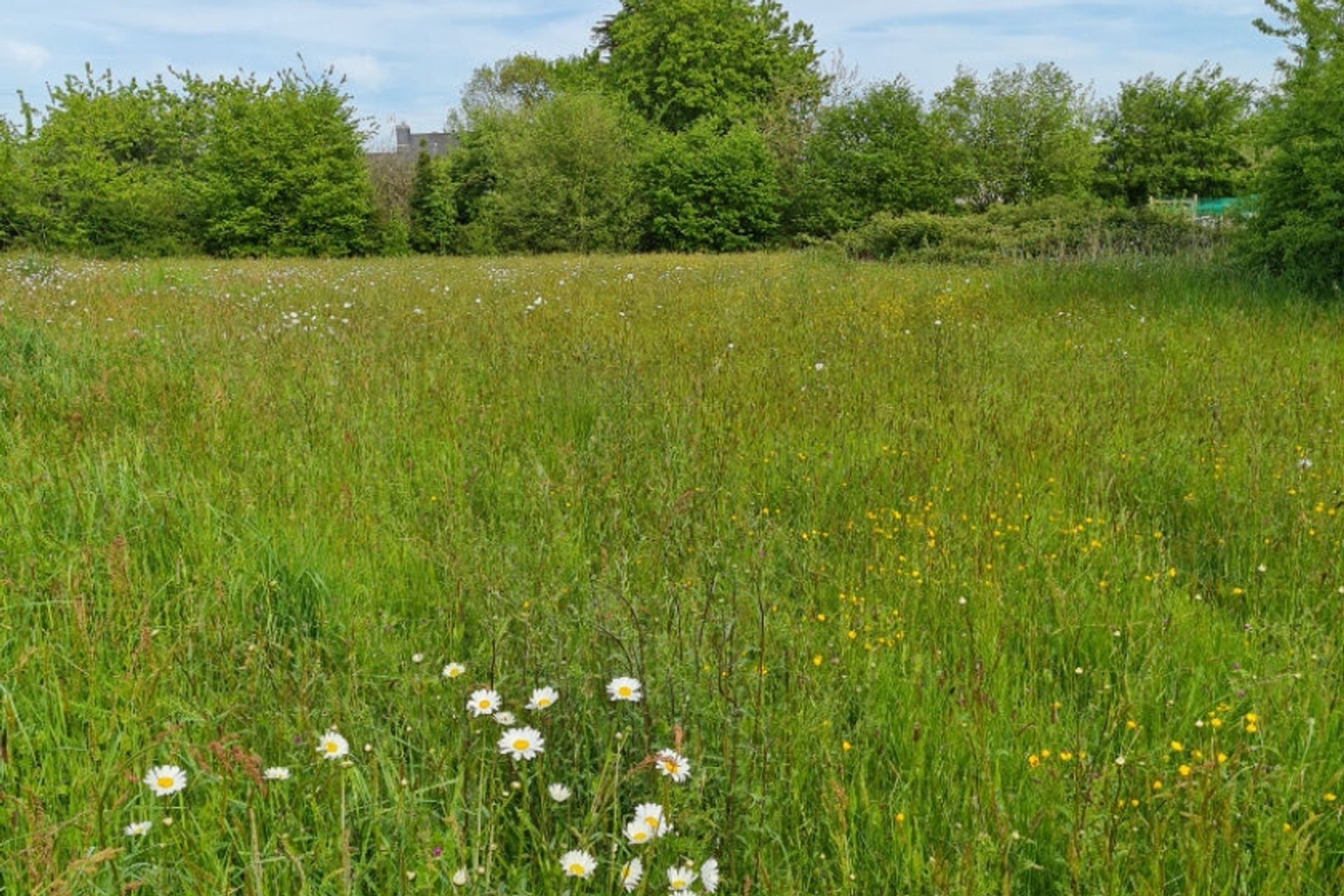 Land in Monteneuf, Bretagne 11752579