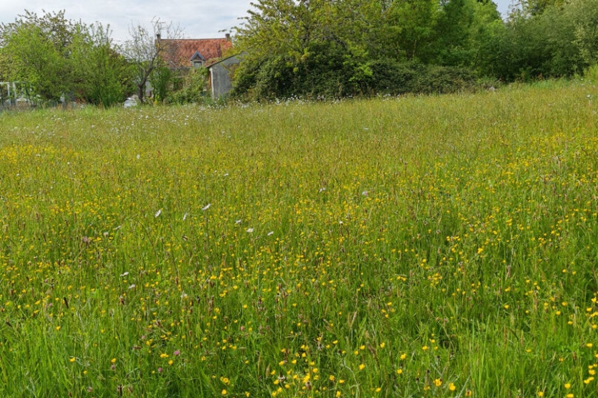 Tierra en Monteneuf, Bretagne 11752579