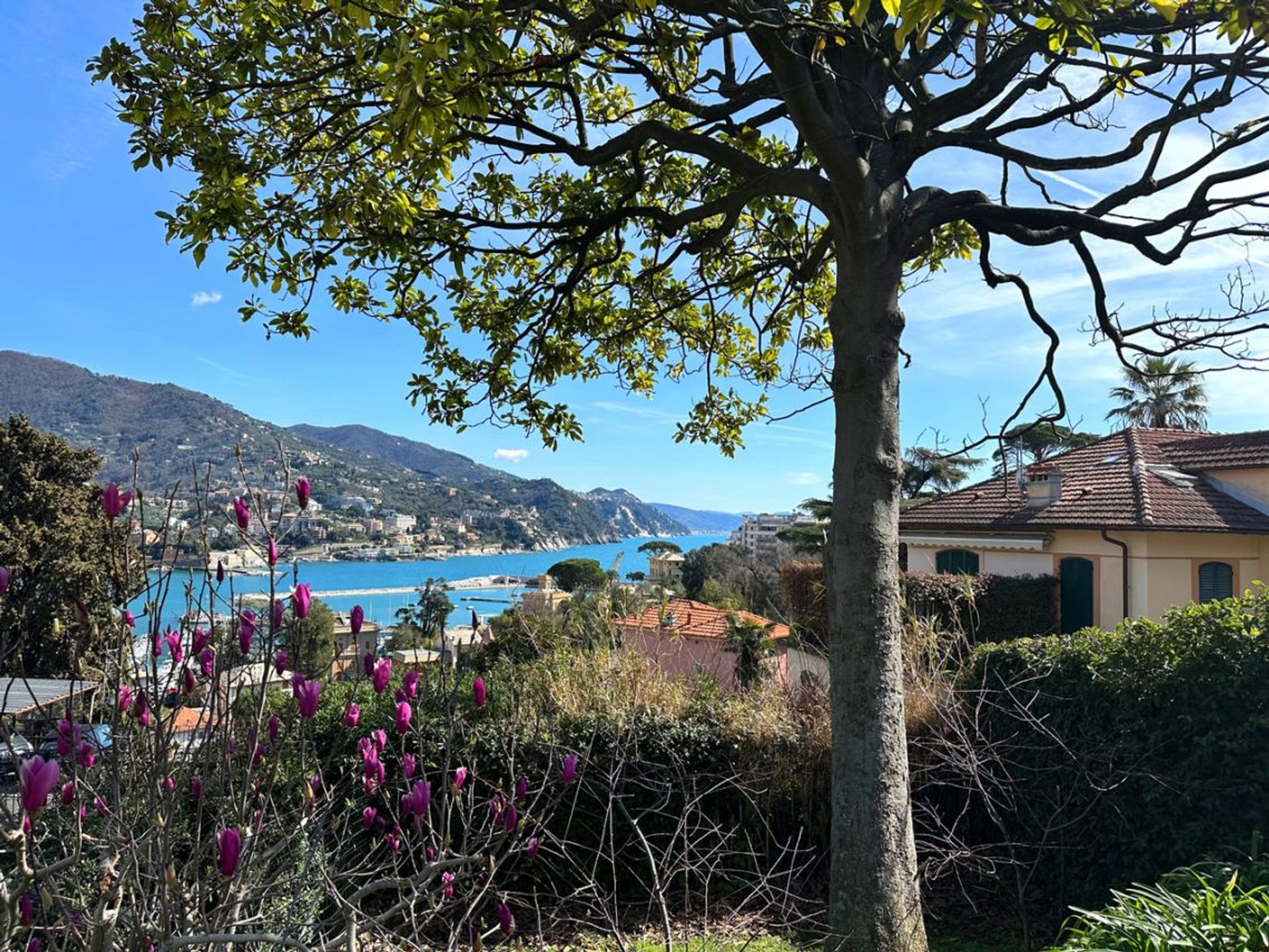 rumah dalam Santa Margherita Ligure, Liguria 11752651