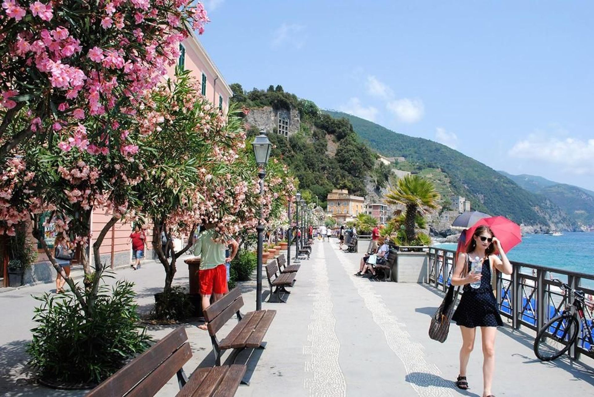 Кондоминиум в Monterosso al Mare, Liguria 11752670