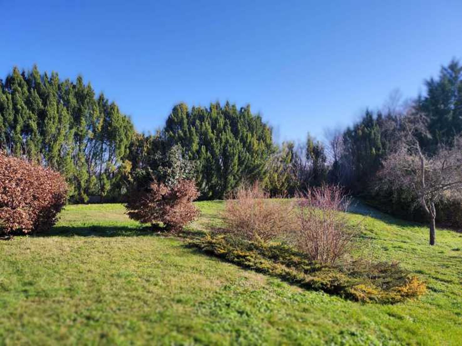 Casa nel Châteauneuf-sur-Cher, Centre-Val de Loire 11752892