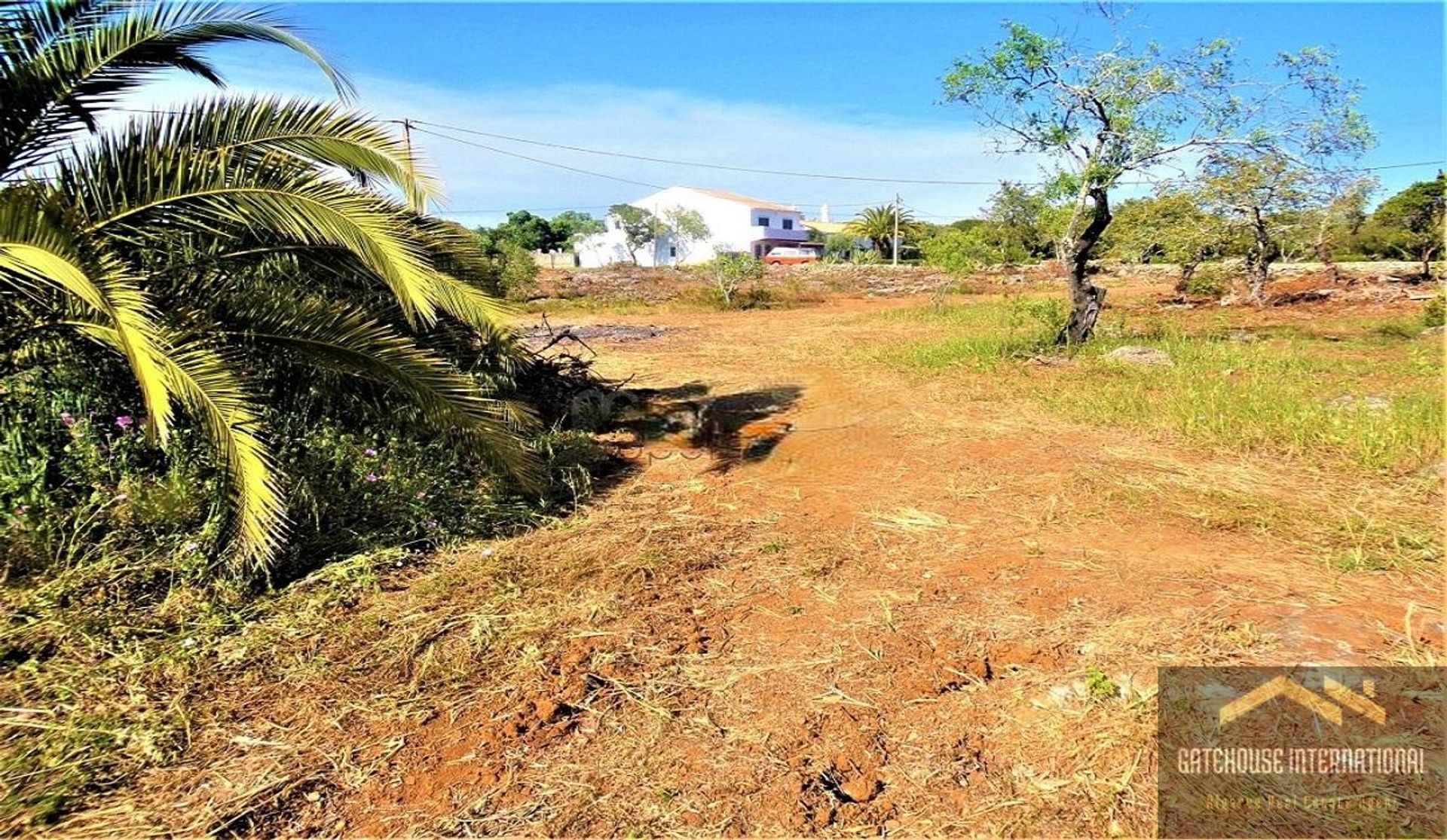 Land in Laranjeira, Faro 11753585