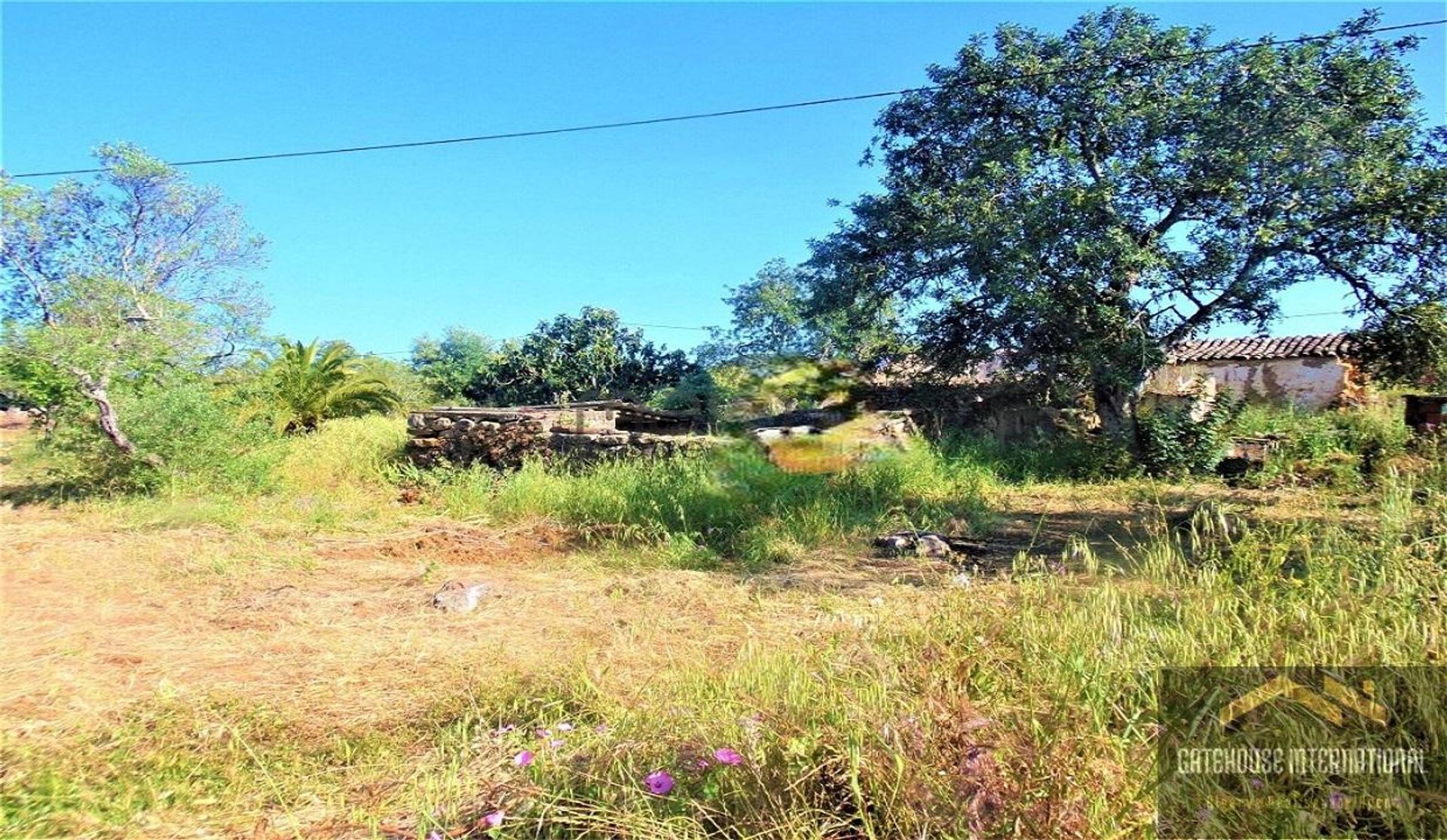 Land in Laranjeira, Faro 11753585