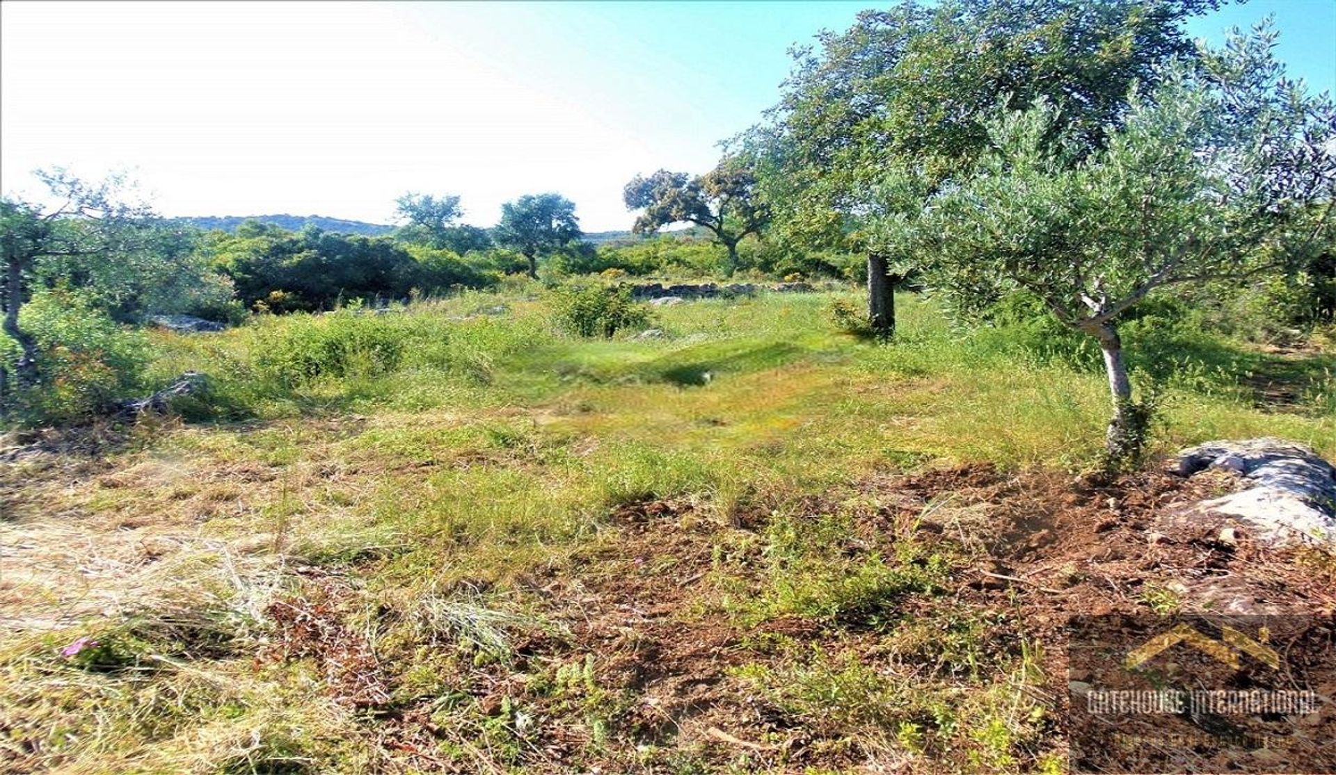 Land i Laranjeira, Faro 11753585