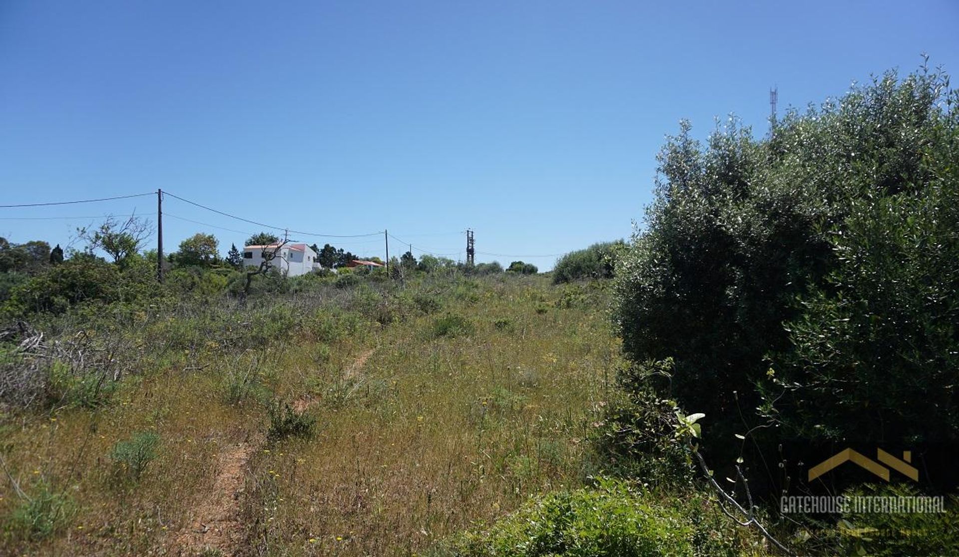 Land i Lagos, Faro 11753603