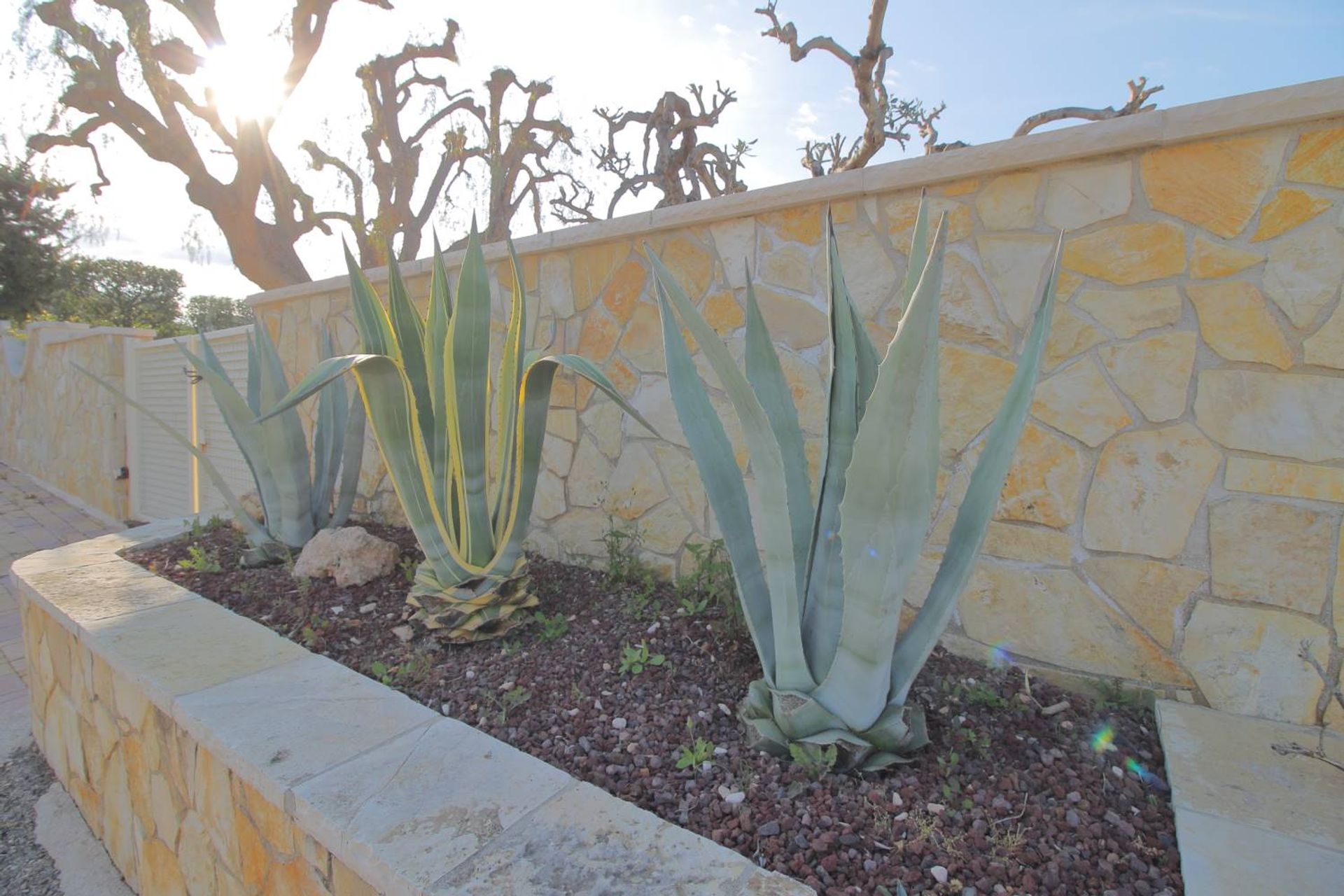 casa no Monopoli, Puglia 11753627