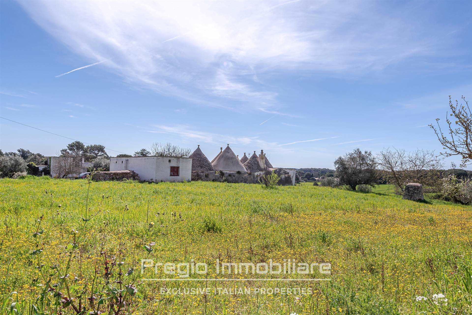 House in Martina Franca, Puglia 11753639