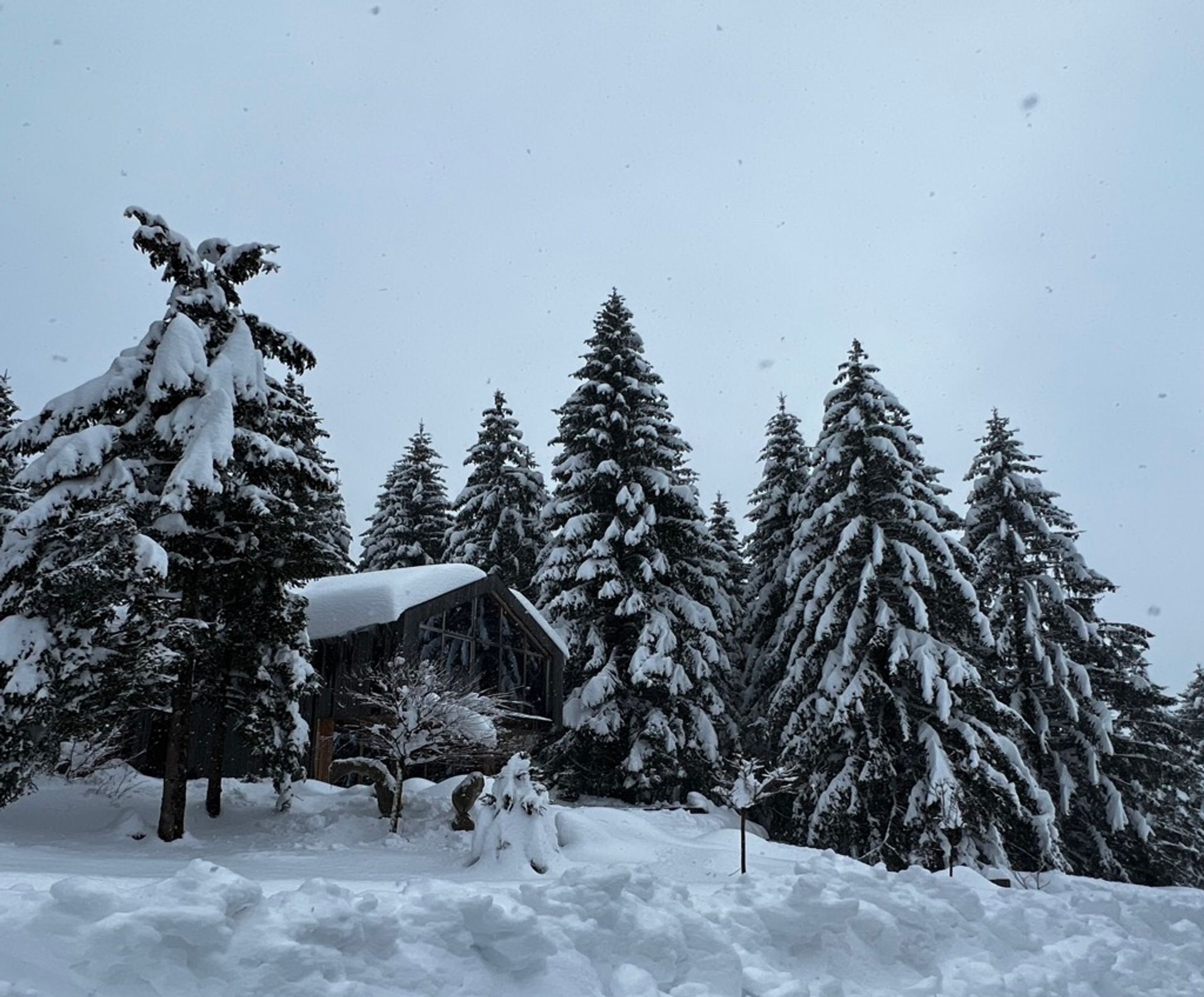 House in Gerovo, Primorje-Gorski Kotar County 11753671