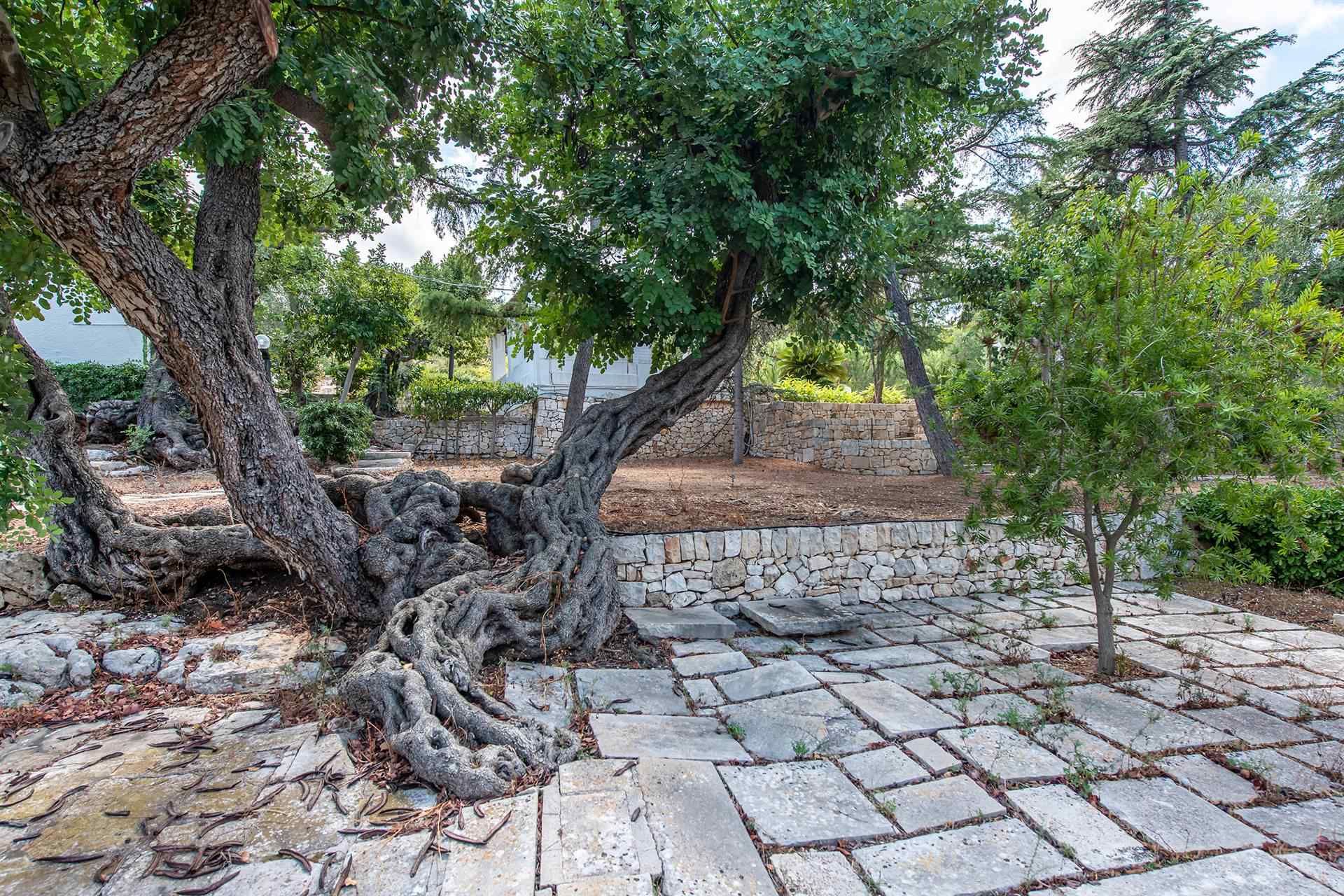 Huis in Polignano a Mare, Apulia 11753685