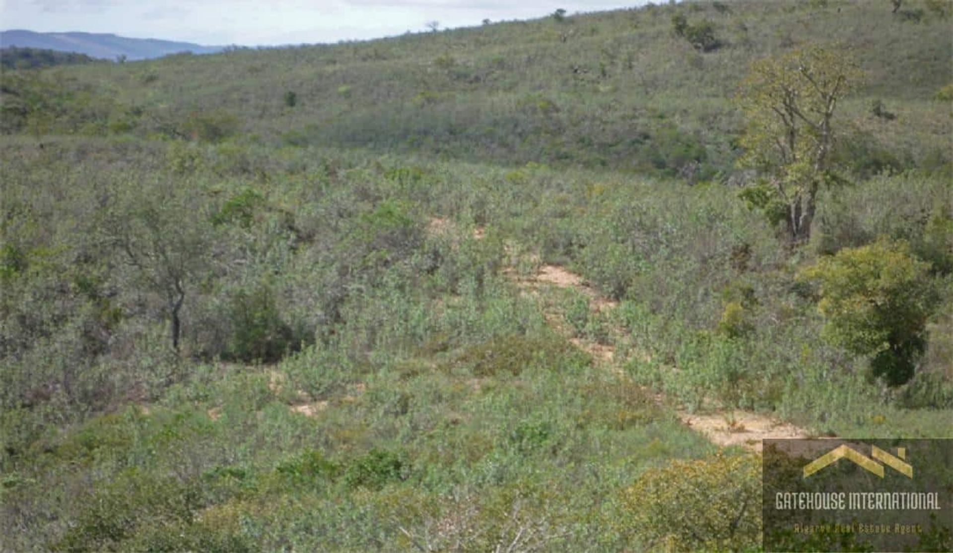 Tierra en São Marcos da Serra, Faraón 11753807