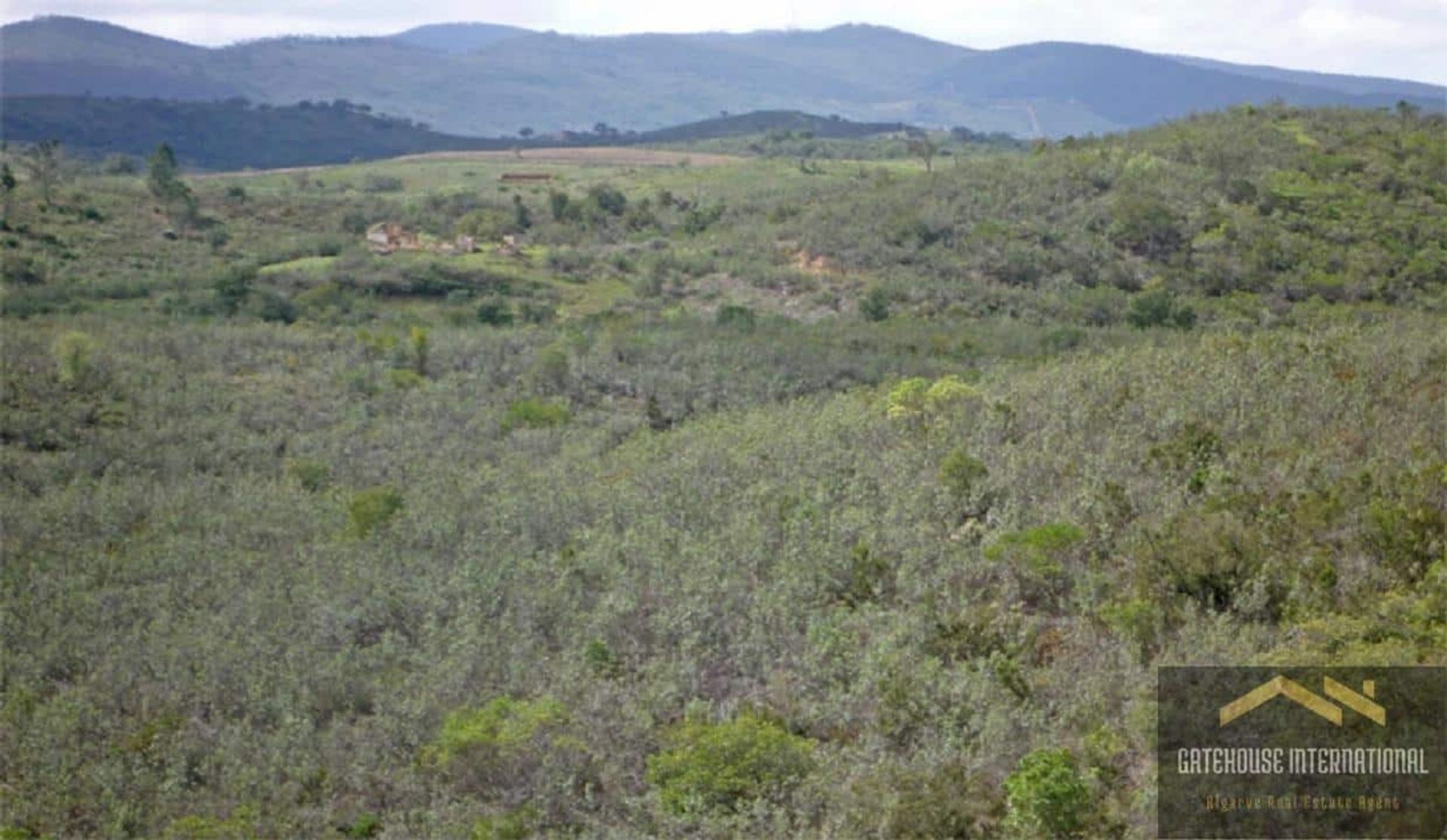 Terre dans São Marcos da Serra, Faro 11753807