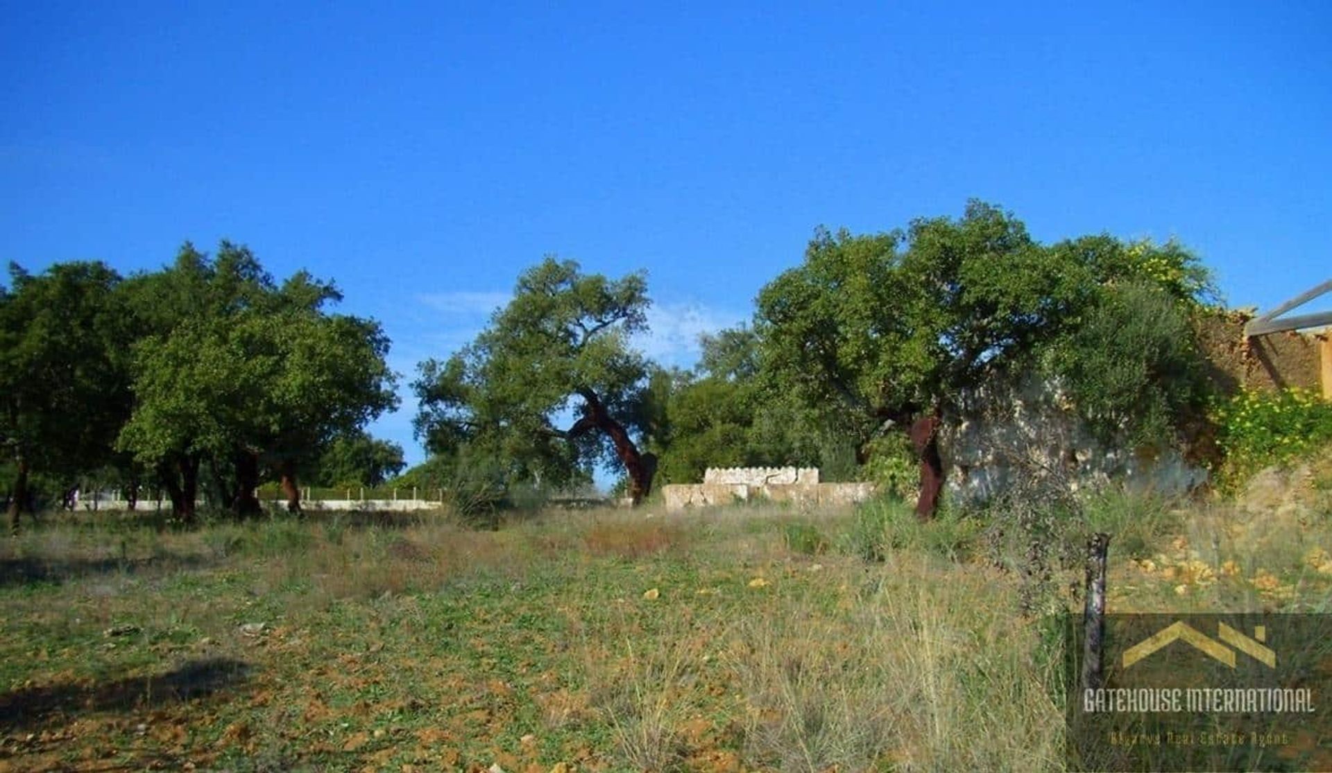 Land in São Lourenco, Faro 11753853