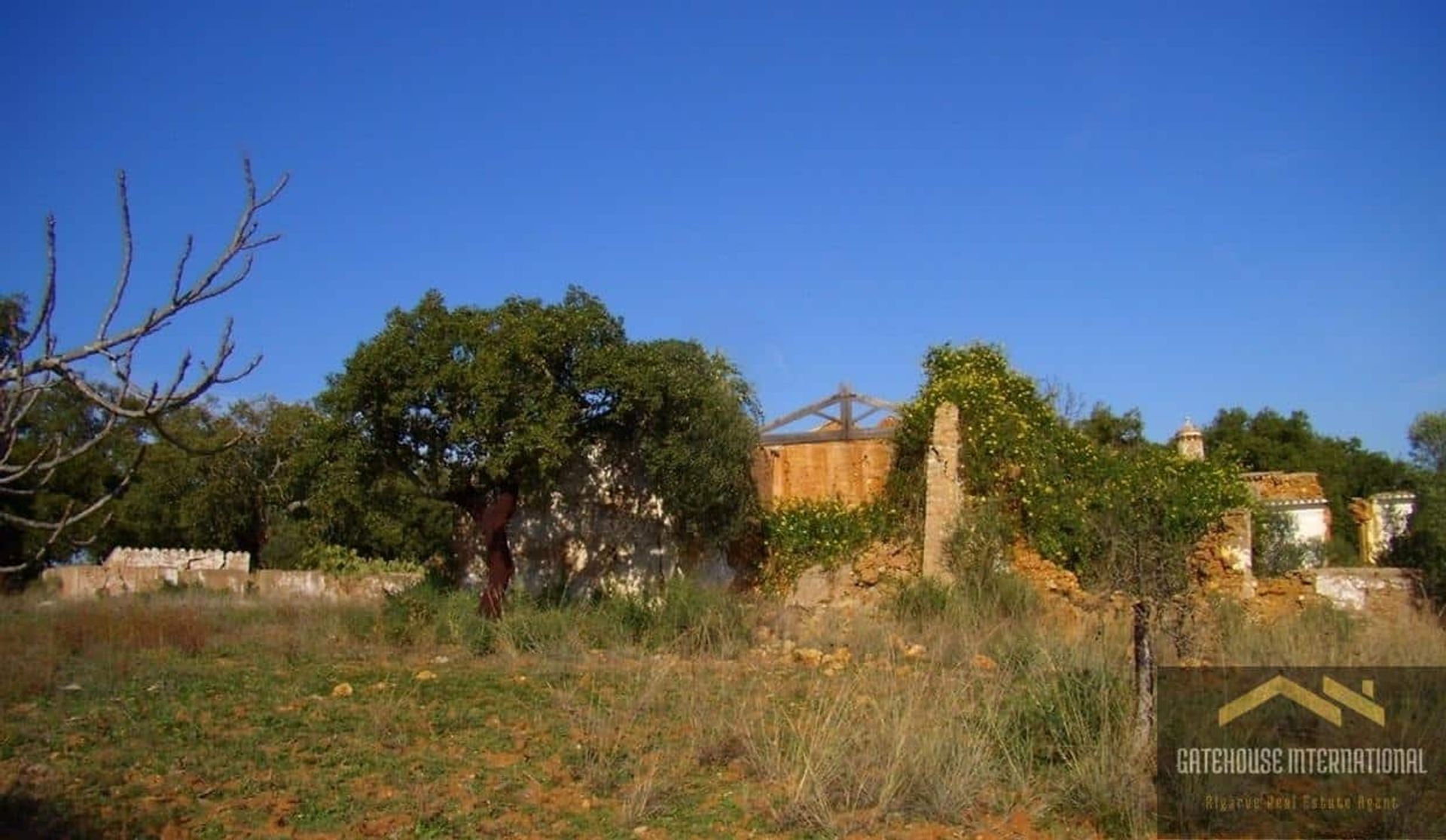 Land in São Lourenco, Faro 11753853