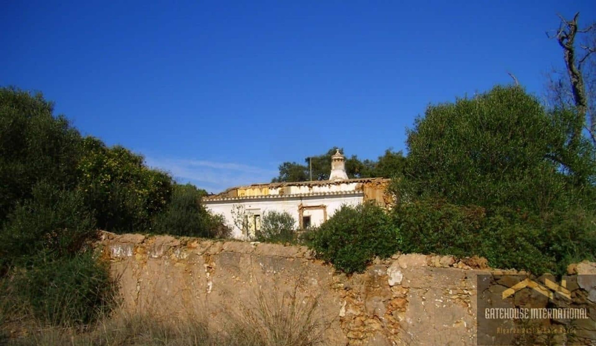 Land im Sao Lourenço, Faro 11753853