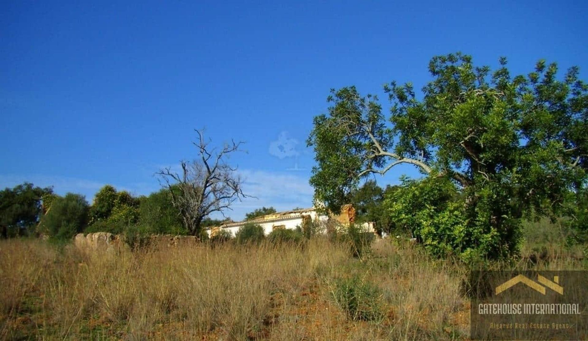 Land im Sao Lourenço, Faro 11753853