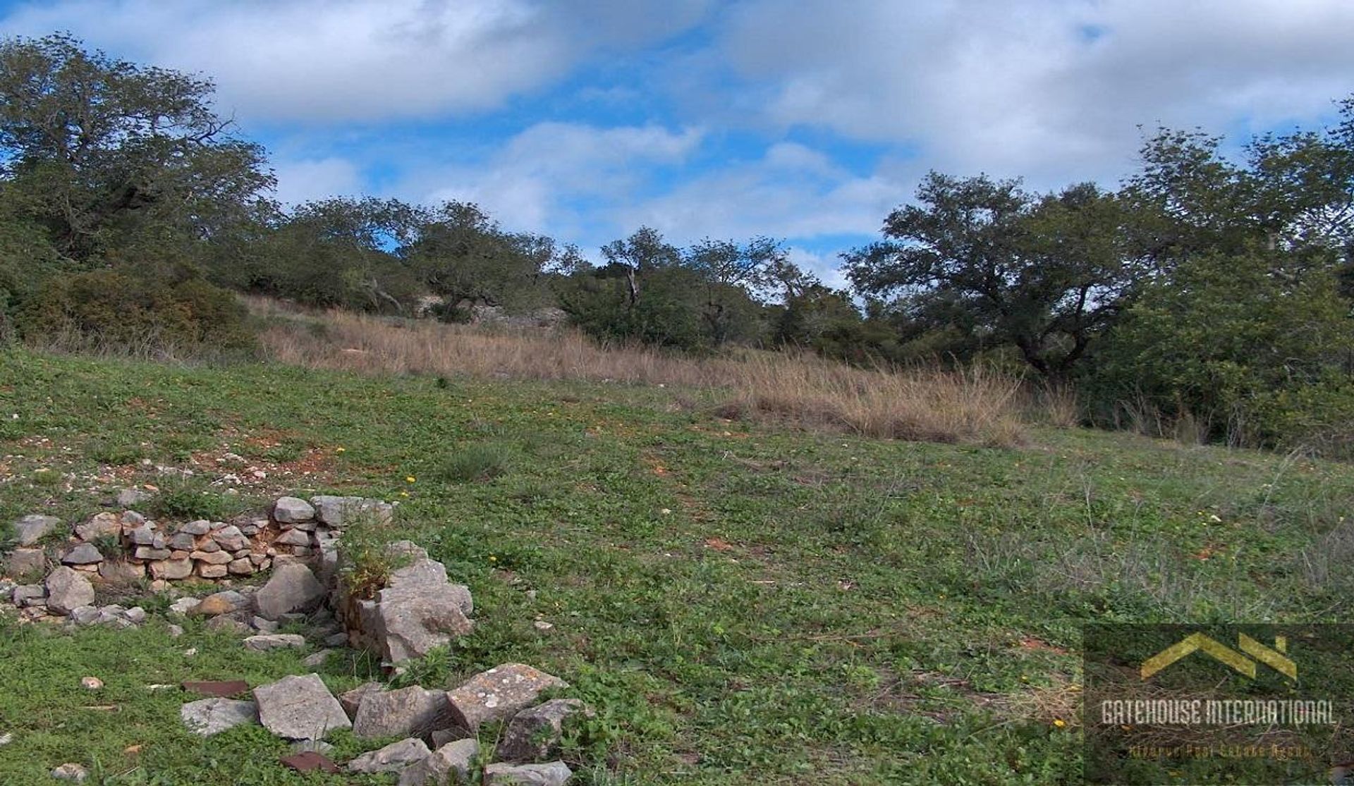 Tanah dalam Loulé, Faro 11753900