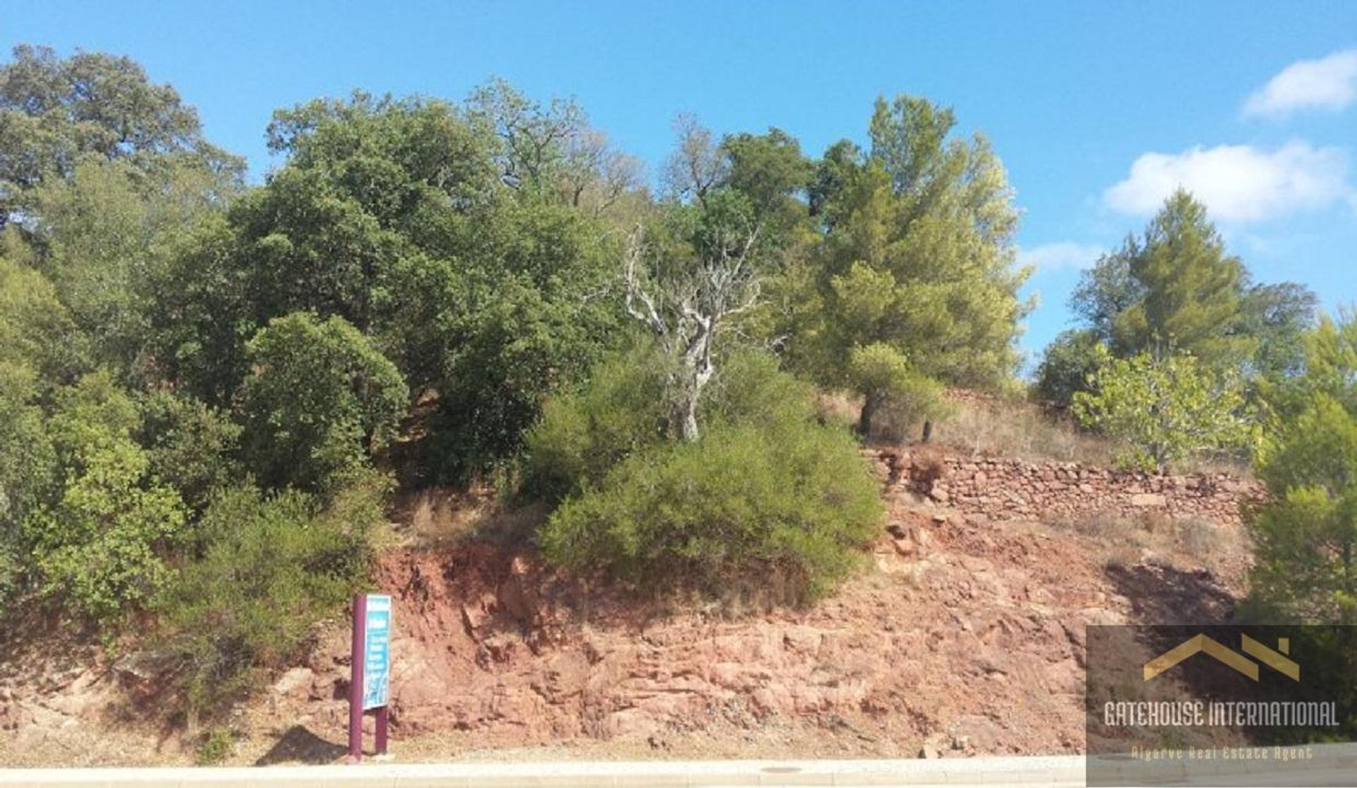 Terre dans Sao Bartolomeu de Messines, Faro 11753947