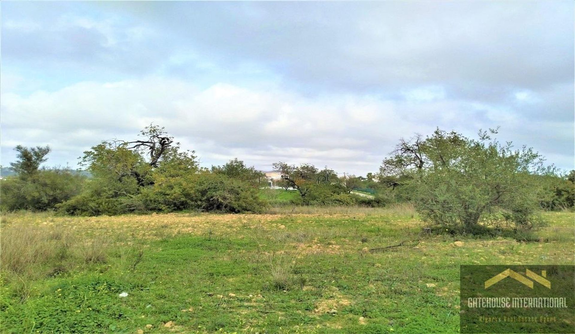 Land in Quarteira, Faro 11753997