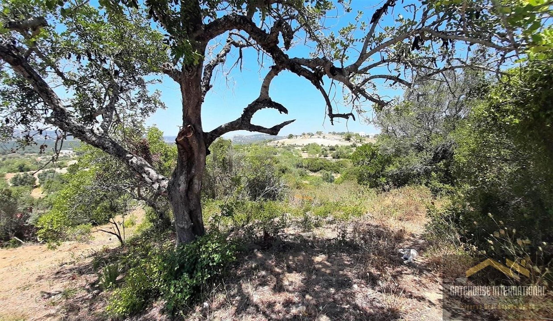 Land in Santa Barbara de Nexe, Faro 11754021