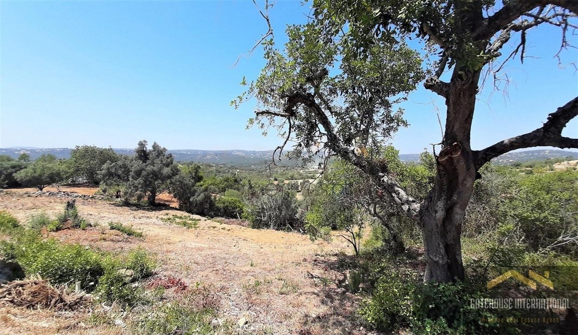 Land in Santa Barbara de Nexe, Faro 11754021