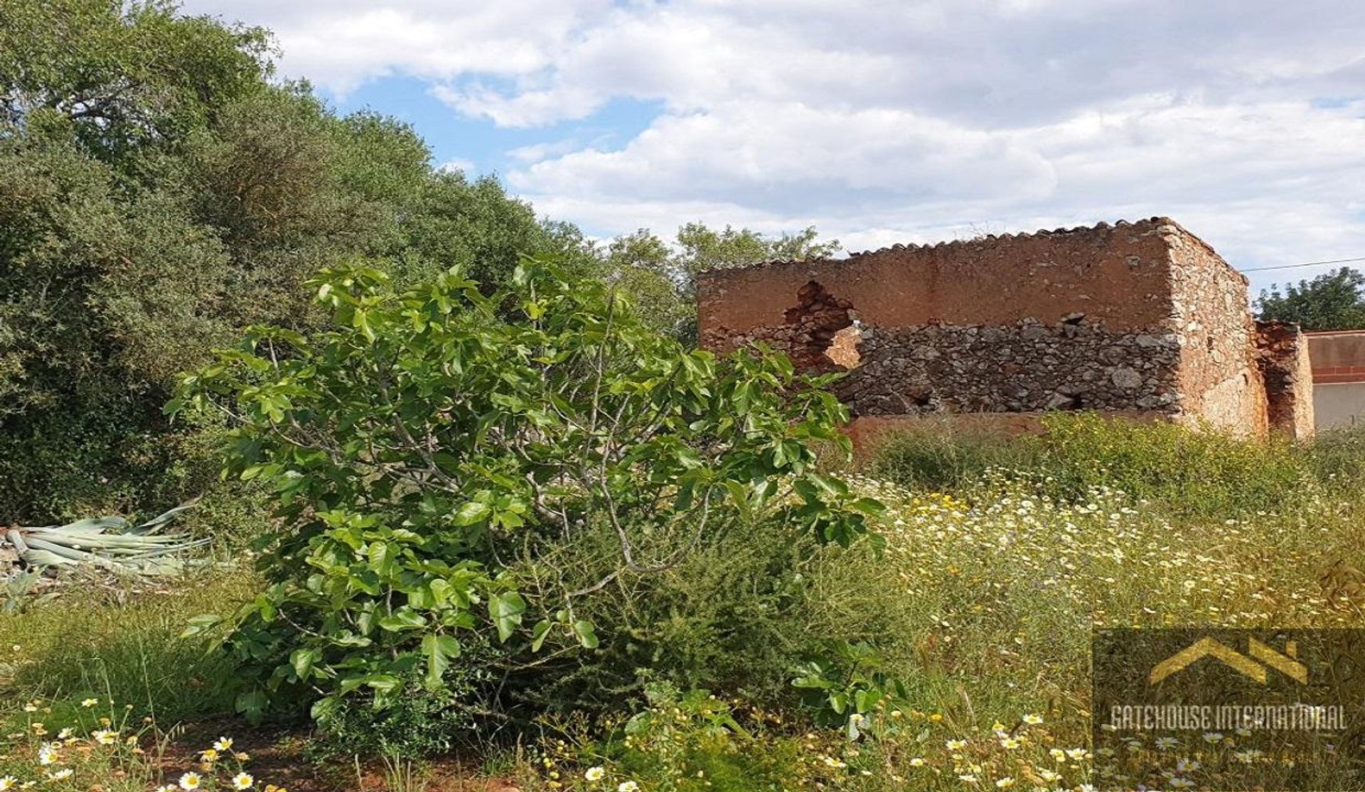 Tierra en São Bartolomeu de Messines, Faraón 11754150