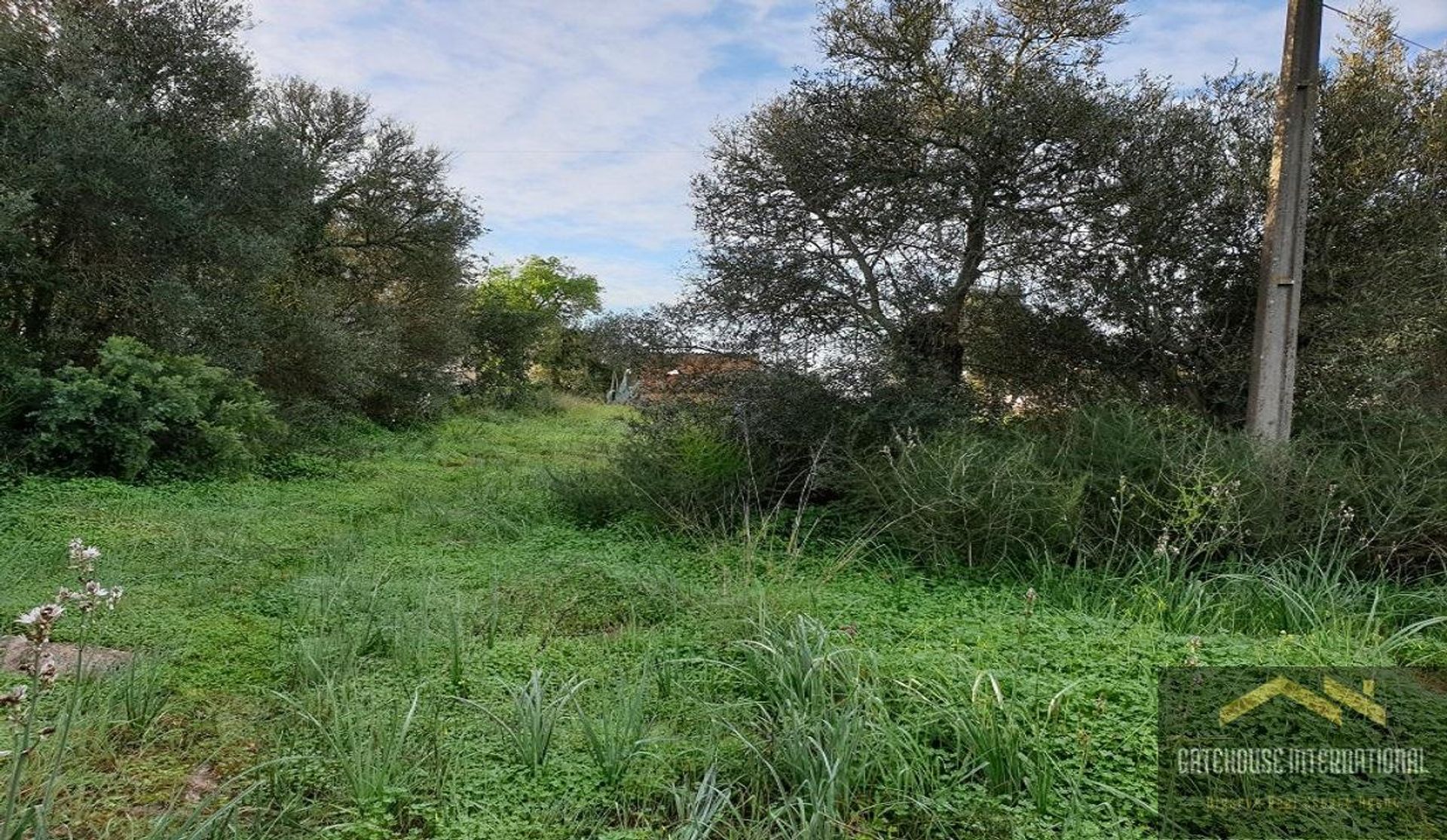 Tanah di Sao Bartolomeu de Messines, Faro 11754150