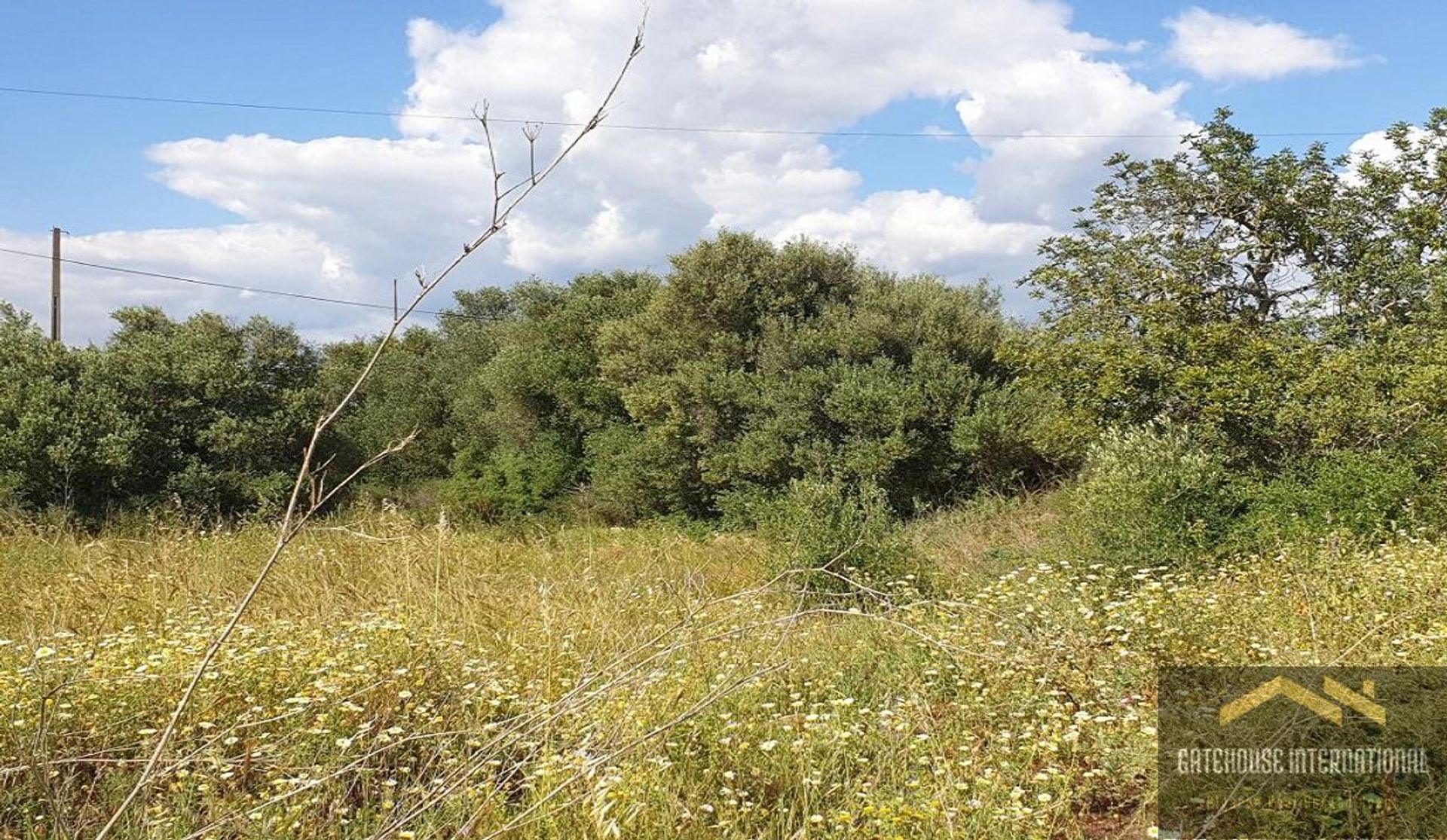 Tanah di Sao Bartolomeu de Messines, Faro 11754150