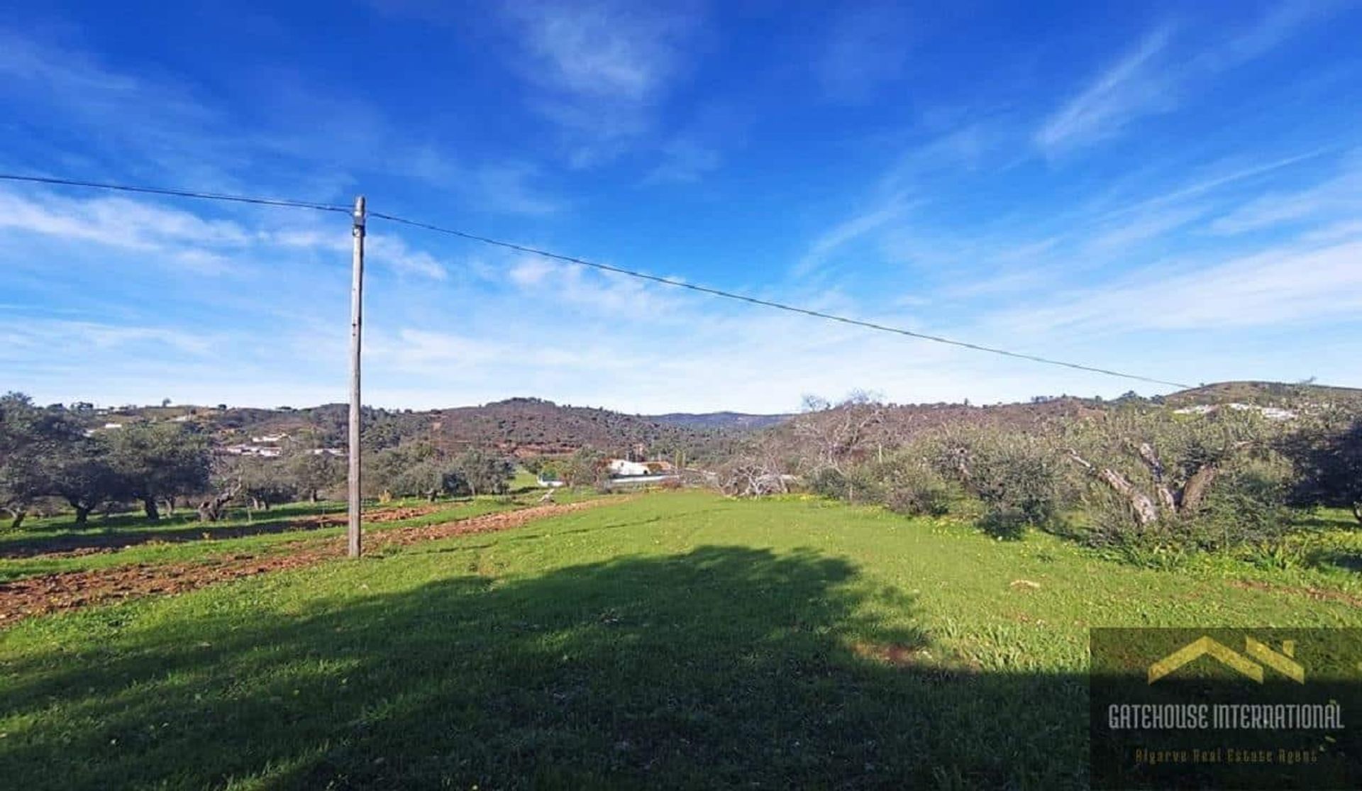 Terre dans São Brás de Alportel, Faro 11754243