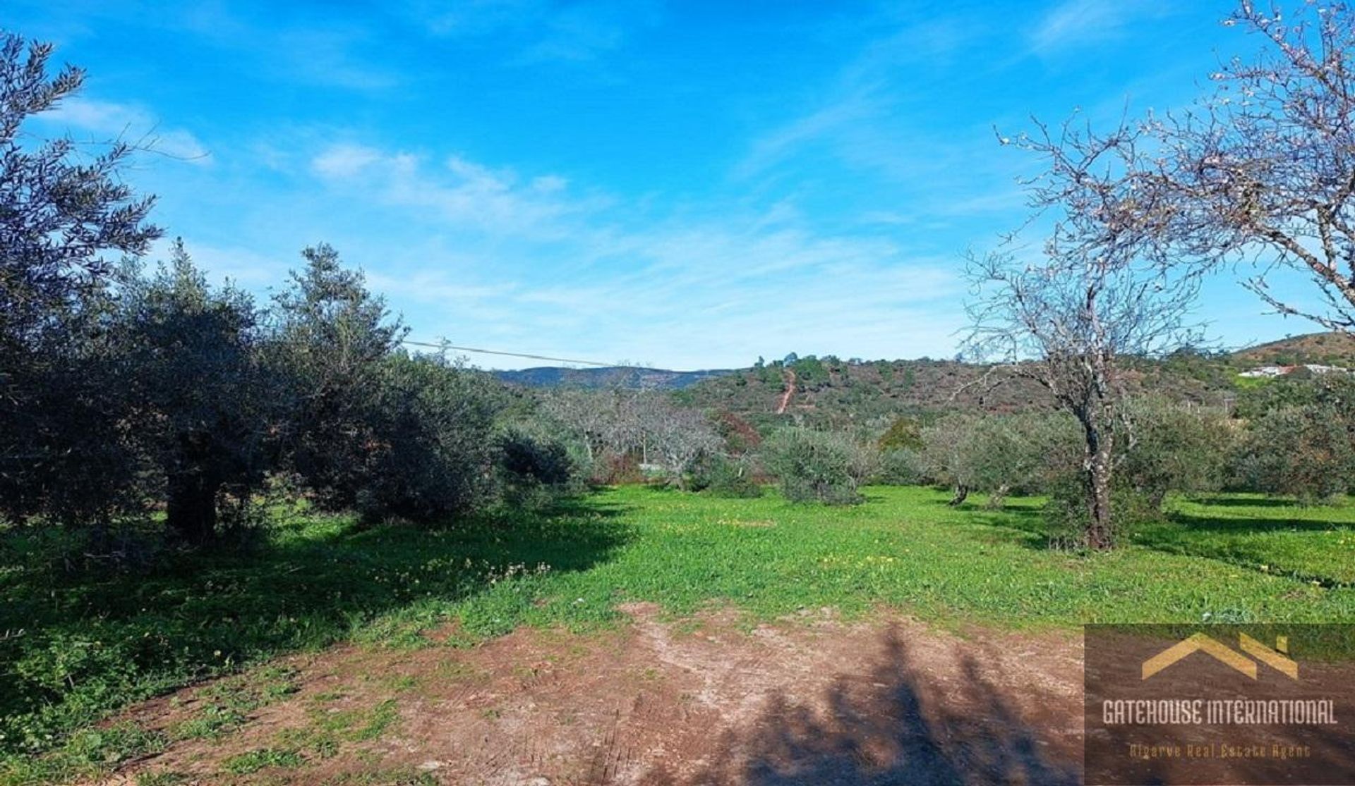 Terre dans São Brás de Alportel, Faro 11754243