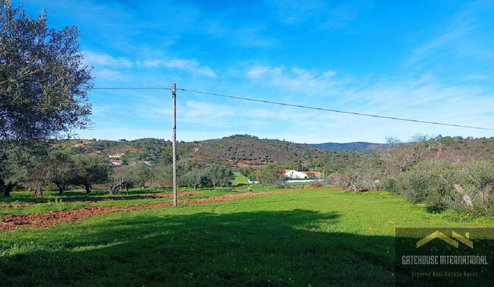 Land i São Brás de Alportel, Faro 11754243